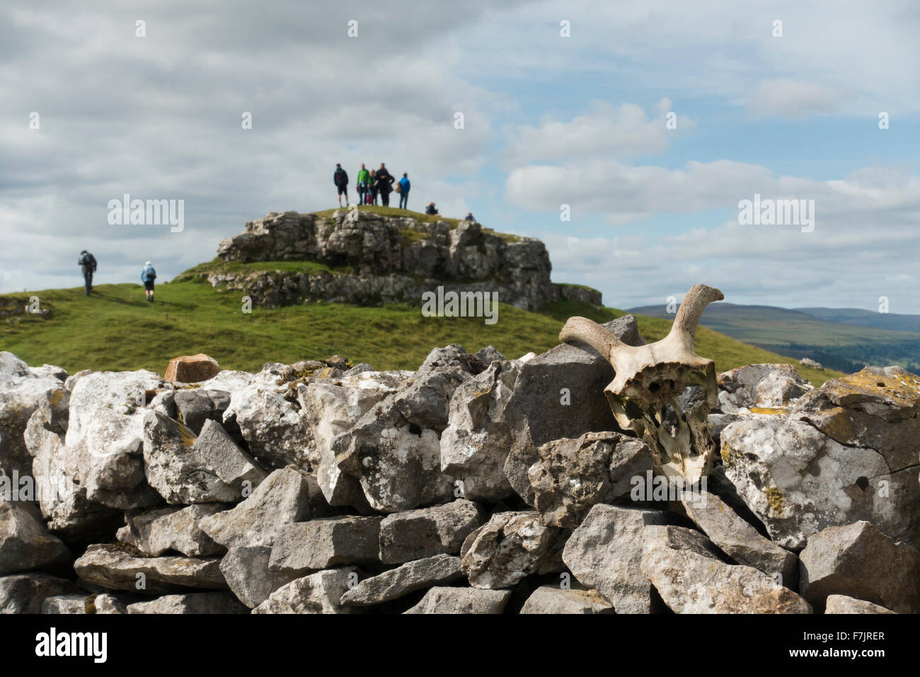 Yorkshire Dales paysage calcaire - Les gens se tenir sur Conistone Pie (éperon rocheux) à admirer la vue. Le crâne de mouton sur un mur ! France, FR, UK. Banque D'Images