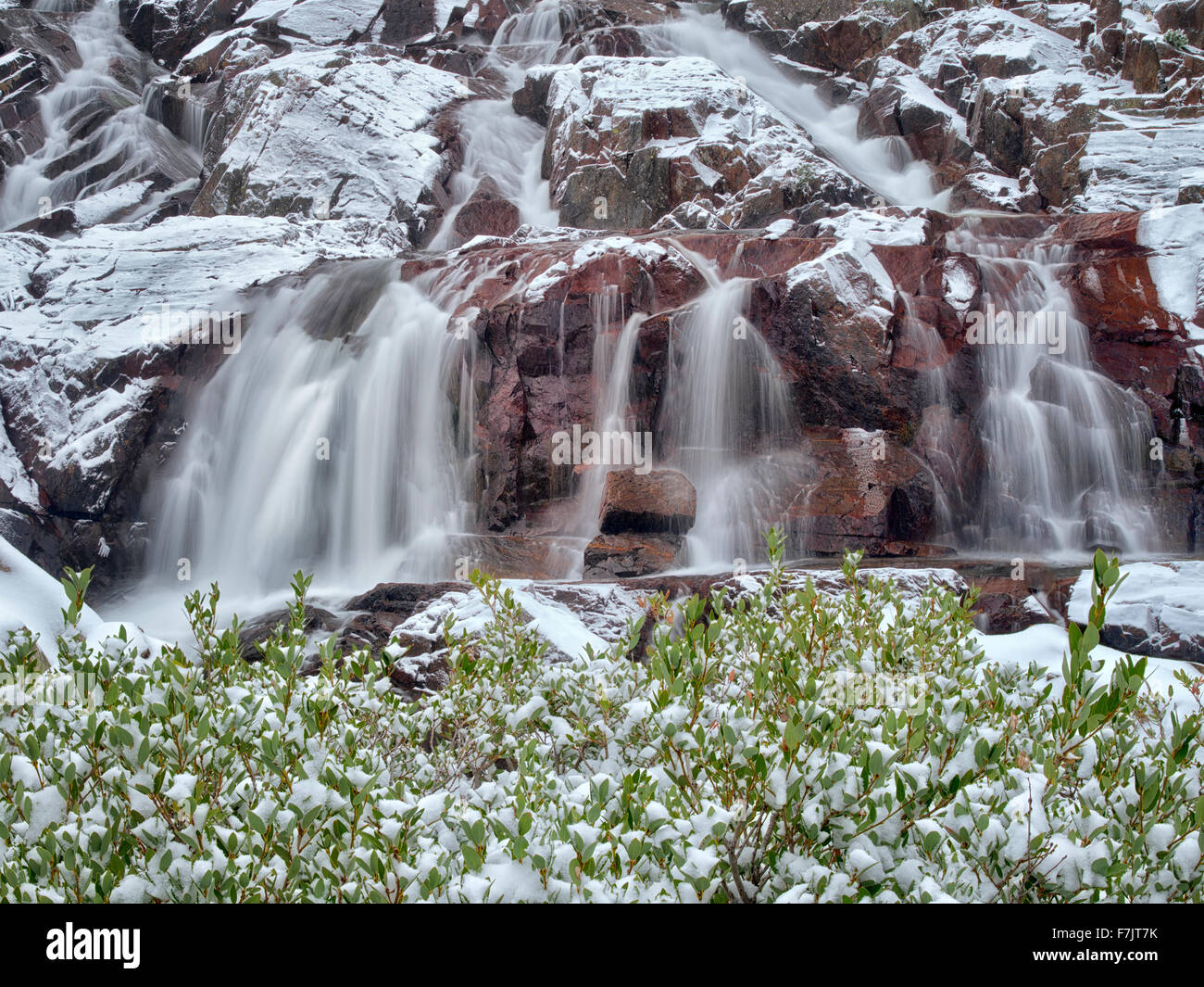 Glen Alpine Falls minutes après l'snwfall frais. Lake Tahoe, California Banque D'Images