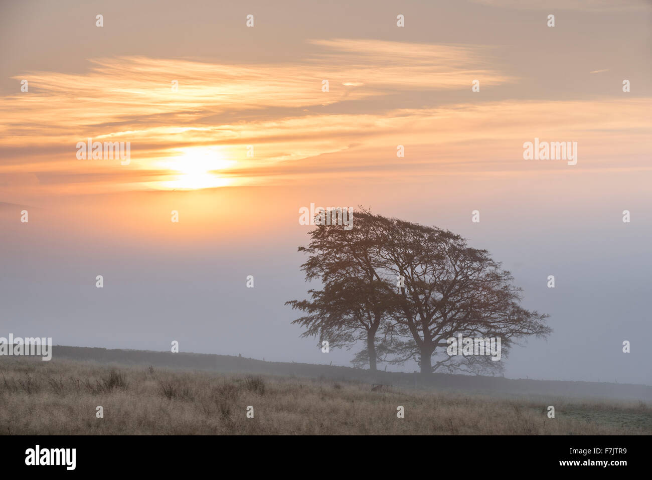 La brume s'élève au-dessus de l'Est et d'Halton dans Embsay Wharfedale inférieur Banque D'Images