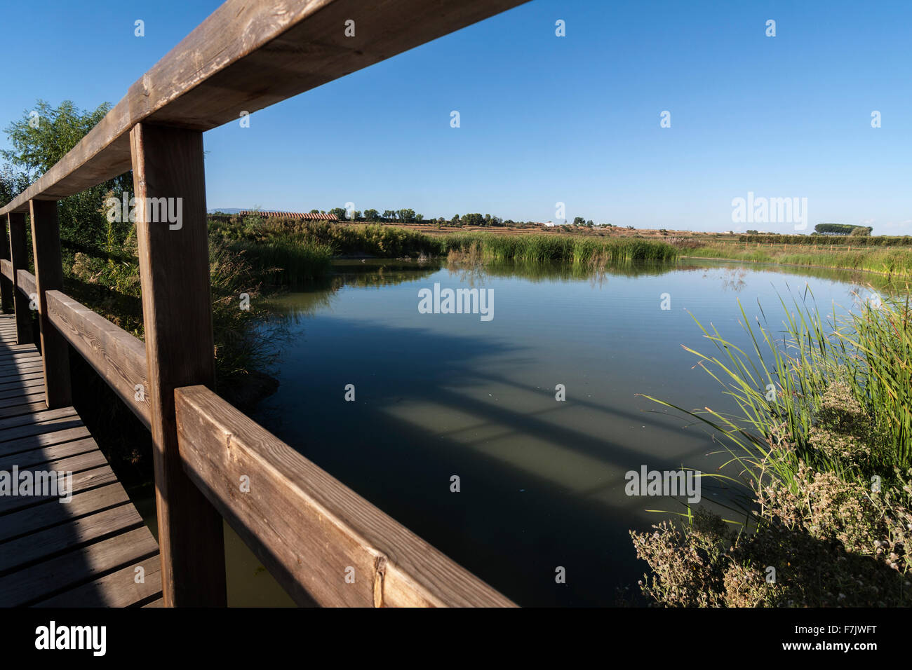 Estany (petit lac) d'Ivars d'Urgell. Banque D'Images