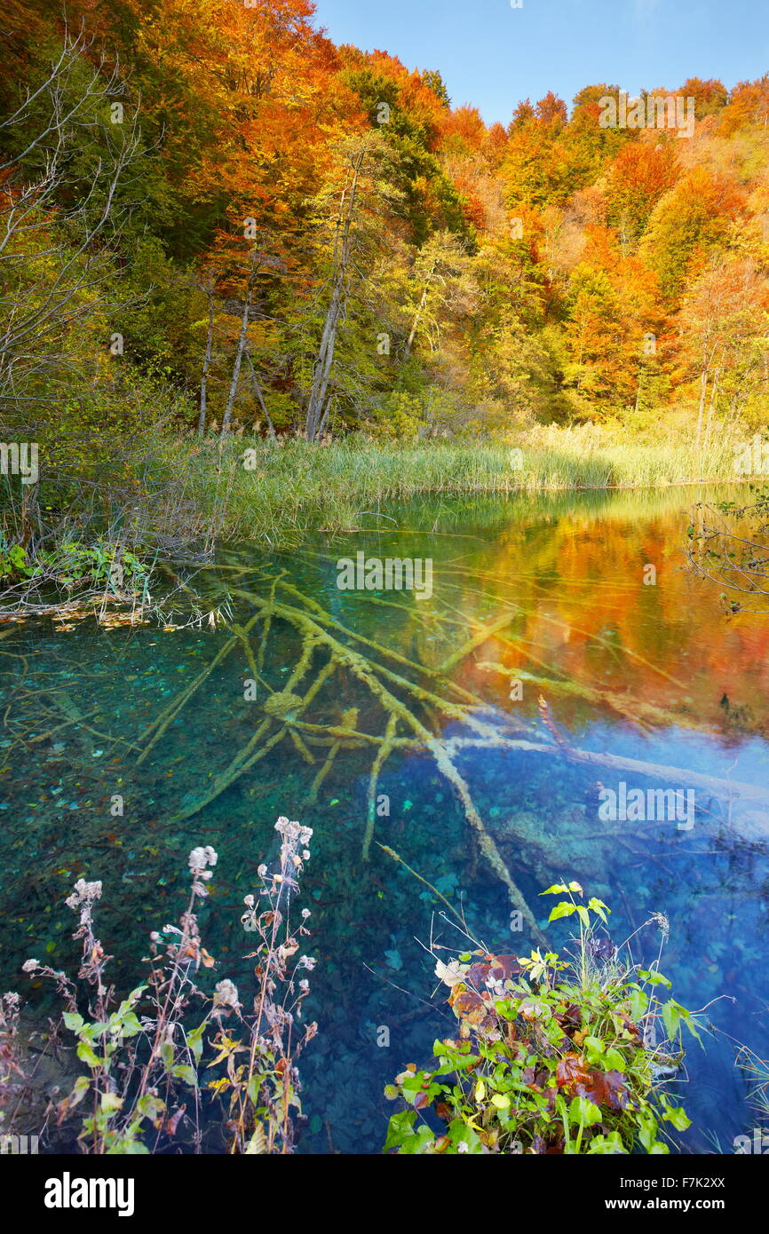 Le parc national des Lacs de Plitvice, Croatie, Europe Banque D'Images