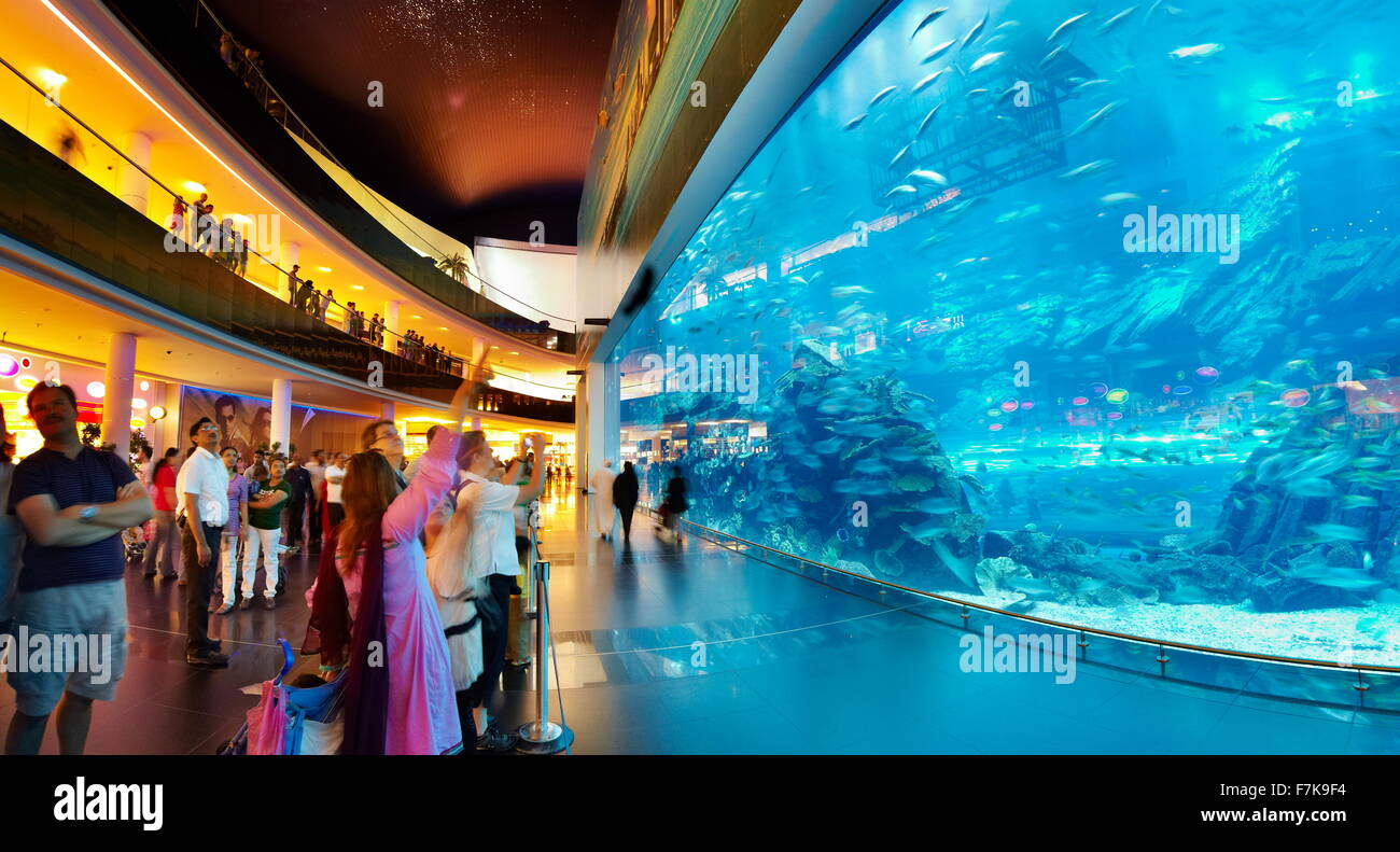 L'aquarium de Dubai Mall, Dubai, Émirats arabes unis, Moyen Orient Banque D'Images