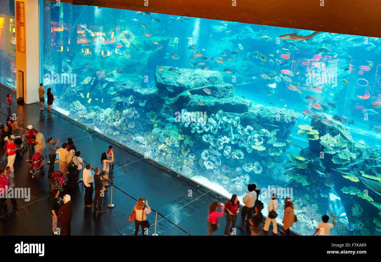L'aquarium de Dubai Mall, Dubai, Émirats arabes unis, Moyen Orient Banque D'Images
