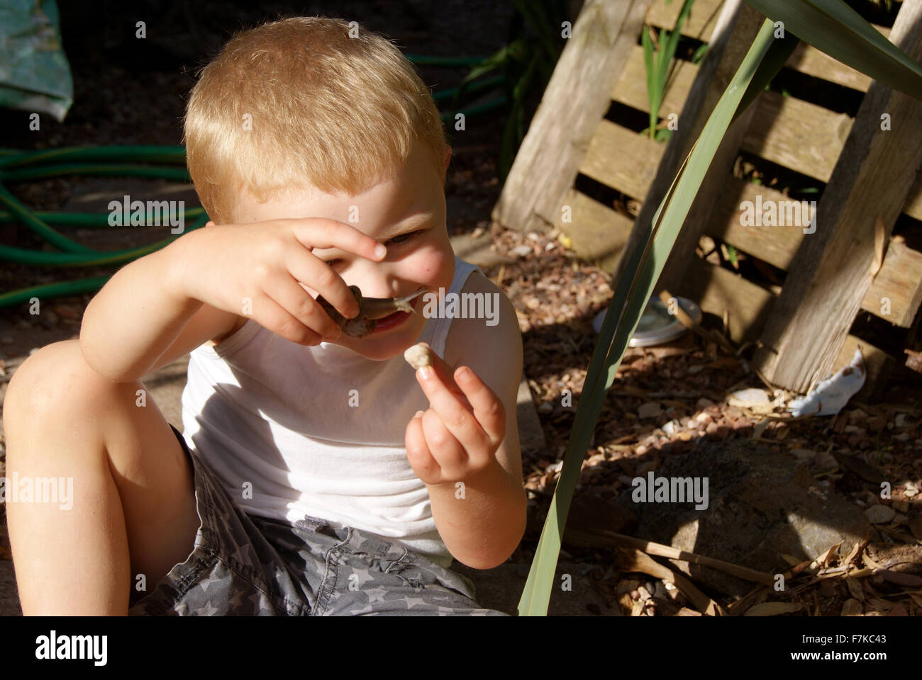 Garçon et escargots, Garçon jouant avec les escargots Banque D'Images