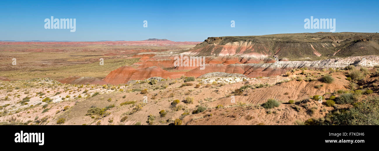Badlands colorés, Painted Desert, Petrified Forest National Park, Arizona USA Banque D'Images