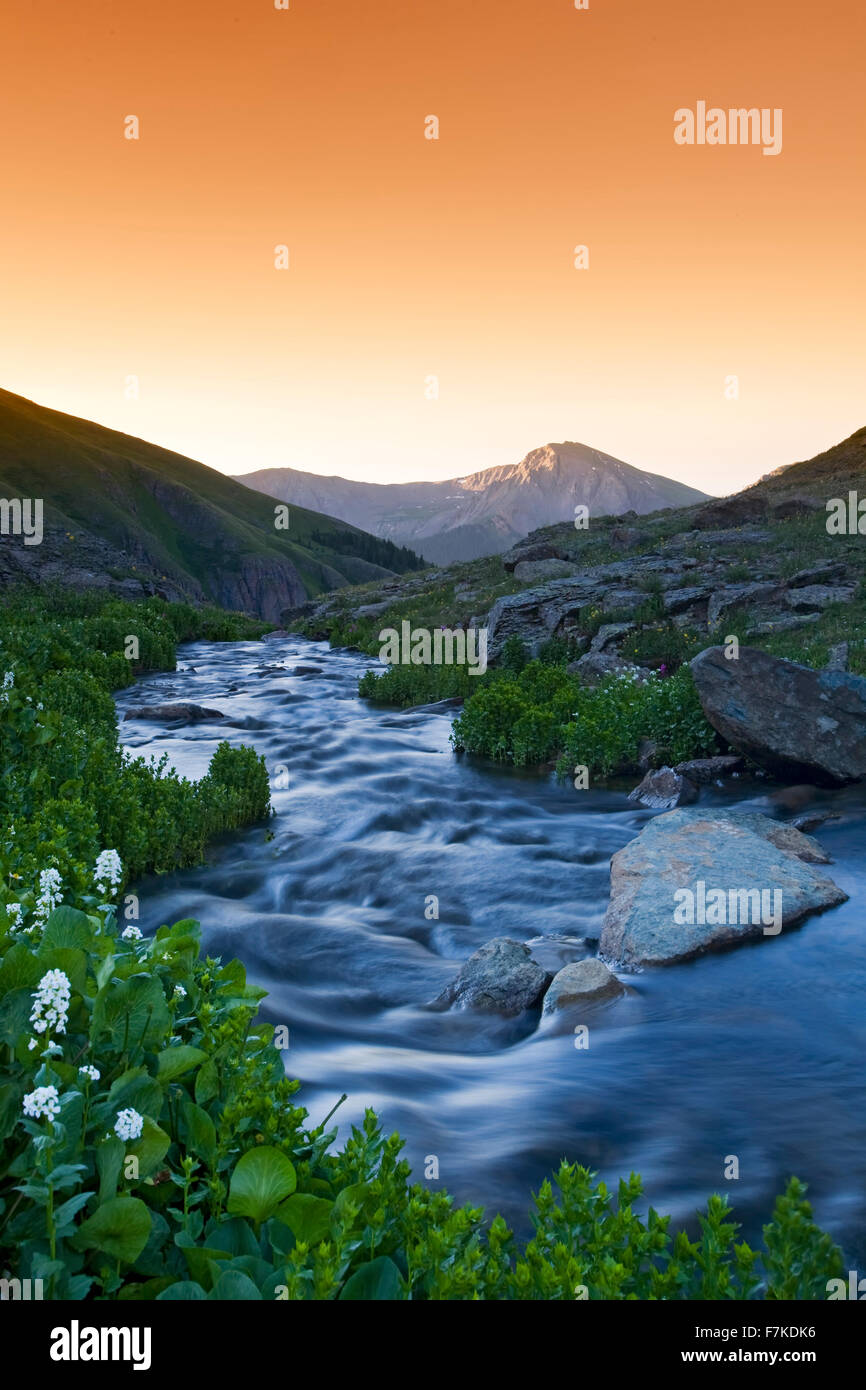 Clear Creek (près de Clear Lake et la montagne, San Juan National Forest, Colorado USA Banque D'Images