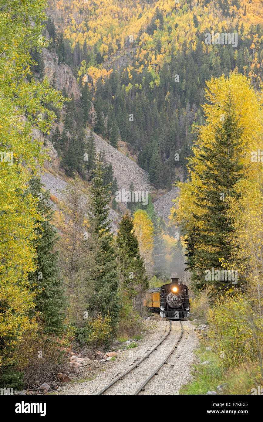 Durango & Silverton Narrow Gauge Railroad train à vapeur dans l'Animas River Canyon au sud-ouest du Colorado. Banque D'Images