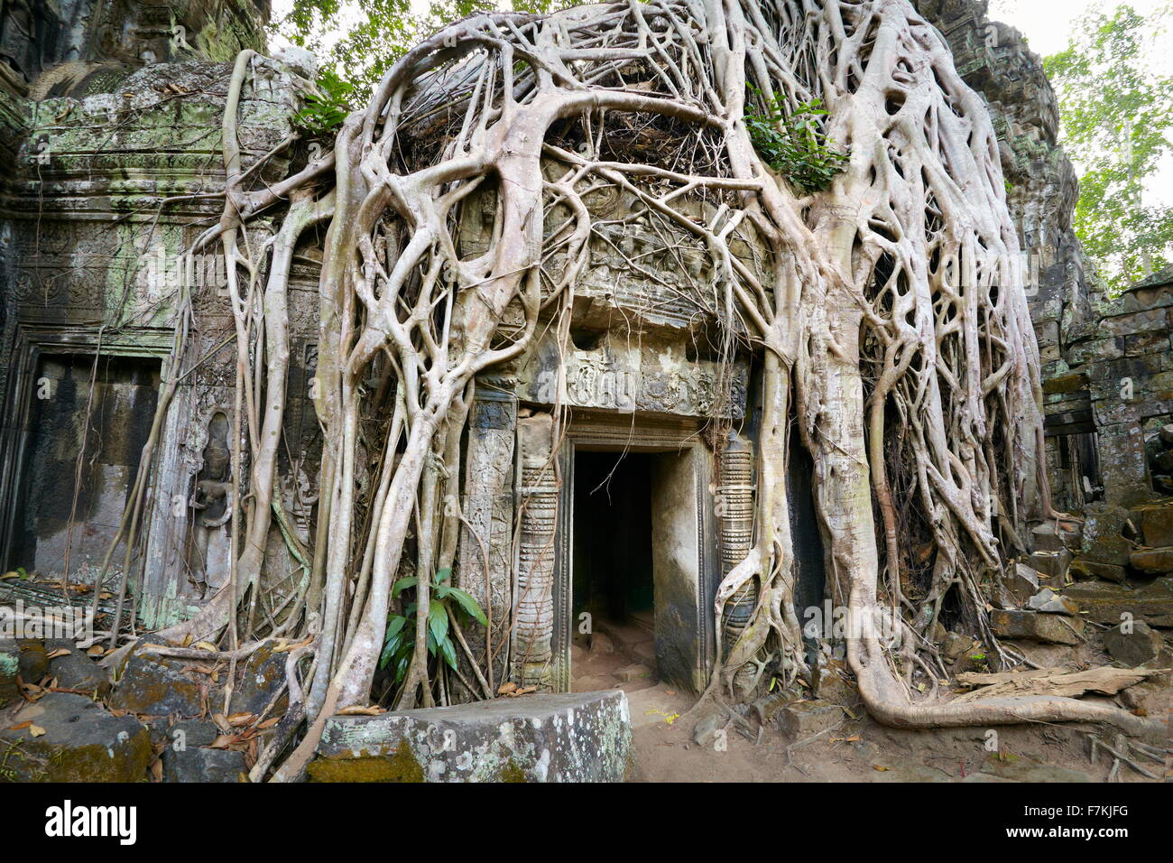 Les ruines de Ta Prohm Temple, Angkor, Cambodge, Asie Banque D'Images