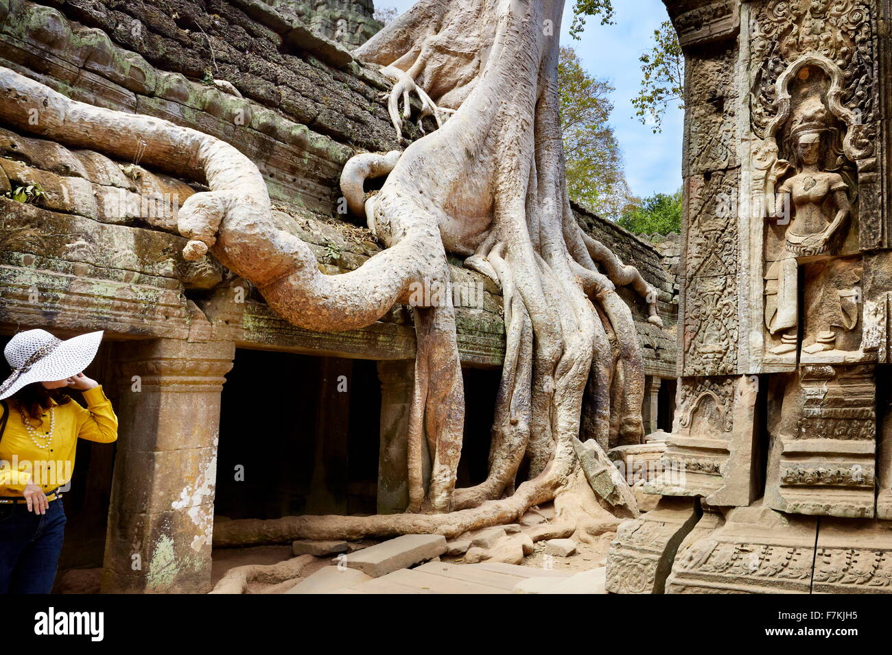 Angkor - ville monumentale qui est resté après l'ancienne capitale de l'empire Khmer, Ta Prohm Temple, Angkor, Siem Reap, Cambodge, Banque D'Images