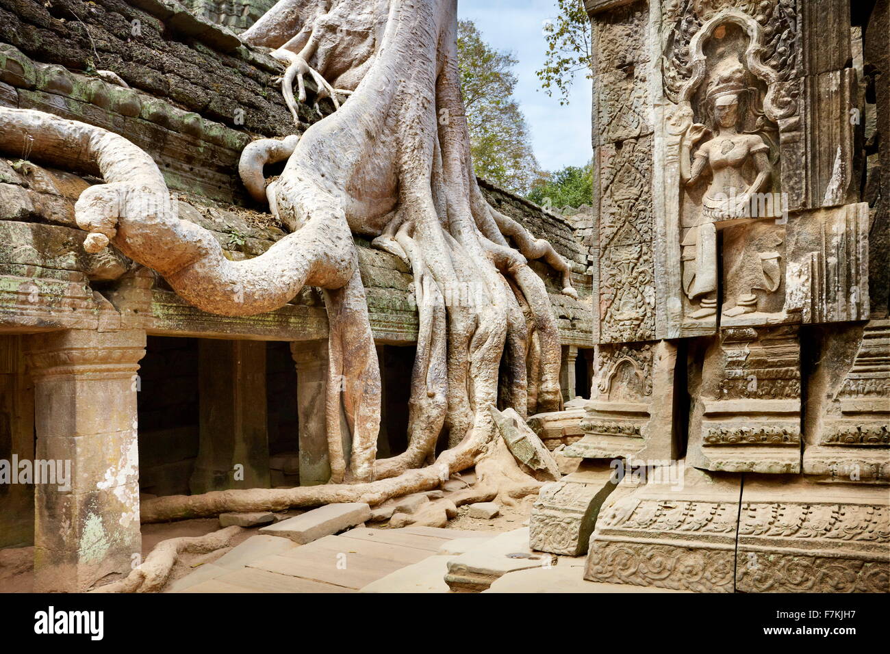 Ta Prohm Temple, Angkor, Cambodge, Asie Banque D'Images