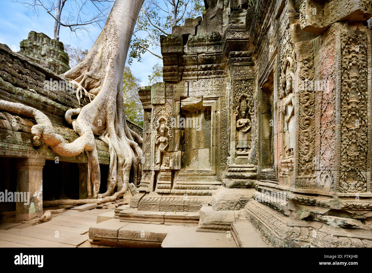 Ta Prohm Temple, Angkor, Cambodge, Asie Banque D'Images