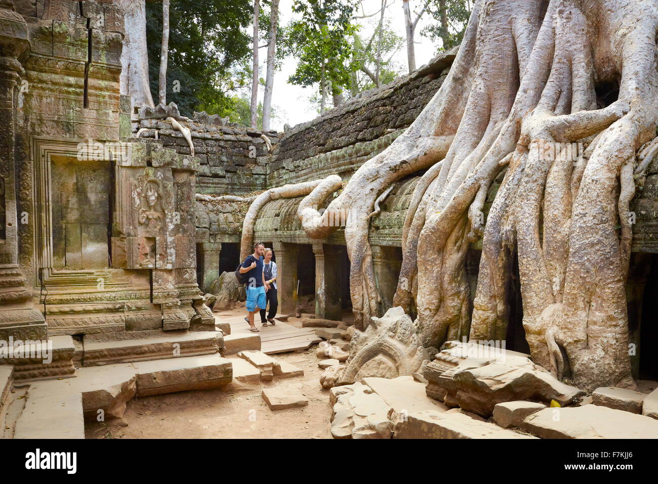 Racines d'un arbre géant des fragments de la également mangeuses Ta Prohm Temple, Angkor, Cambodge, Asie Banque D'Images