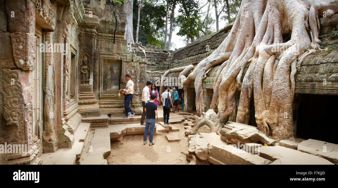 Angkor - Racines d'un arbre géant ruines également mangeuses de Ta Prohm Temple, Angkor, Cambodge, Asie Banque D'Images