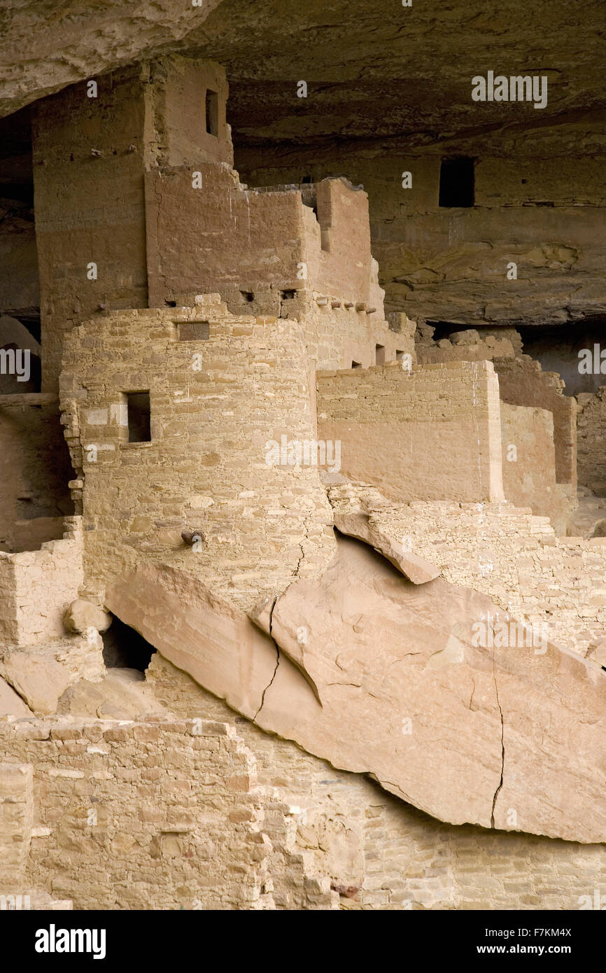 Logement falaise Cliff Palace, la plus grande ruine indiennes en Amérique du Nord, le Parc National de Mesa Verde, le sud-ouest du Colorado Banque D'Images