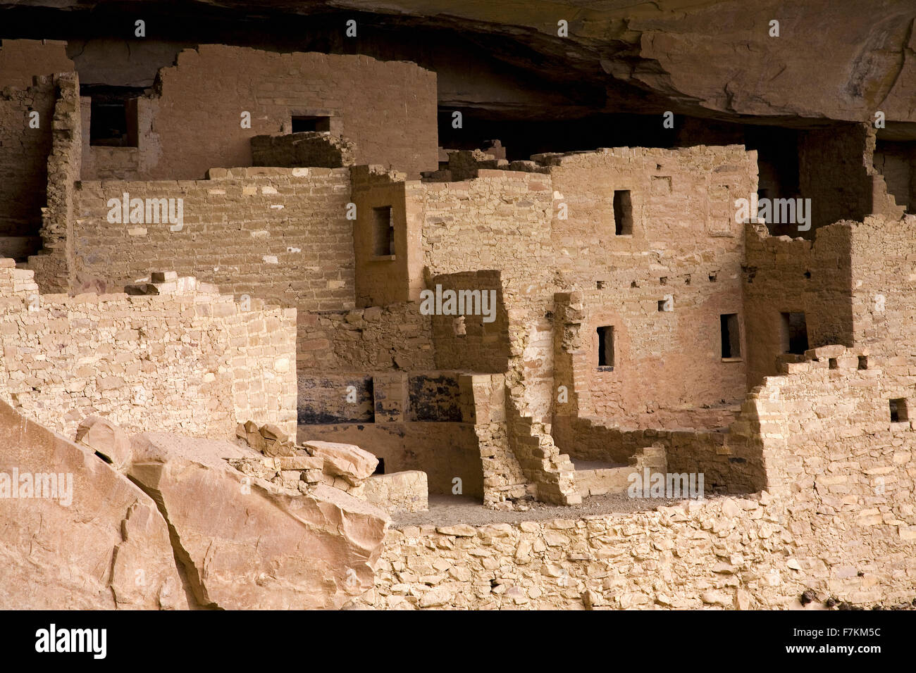 Logement falaise Cliff Palace, la plus grande ruine indiennes en Amérique du Nord, le Parc National de Mesa Verde, le sud-ouest du Colorado Banque D'Images
