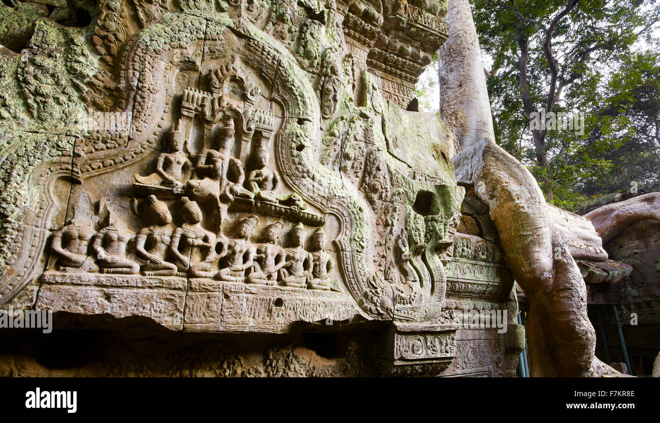 Ta Prohm Temple, Angkor, Cambodge, Asie Banque D'Images