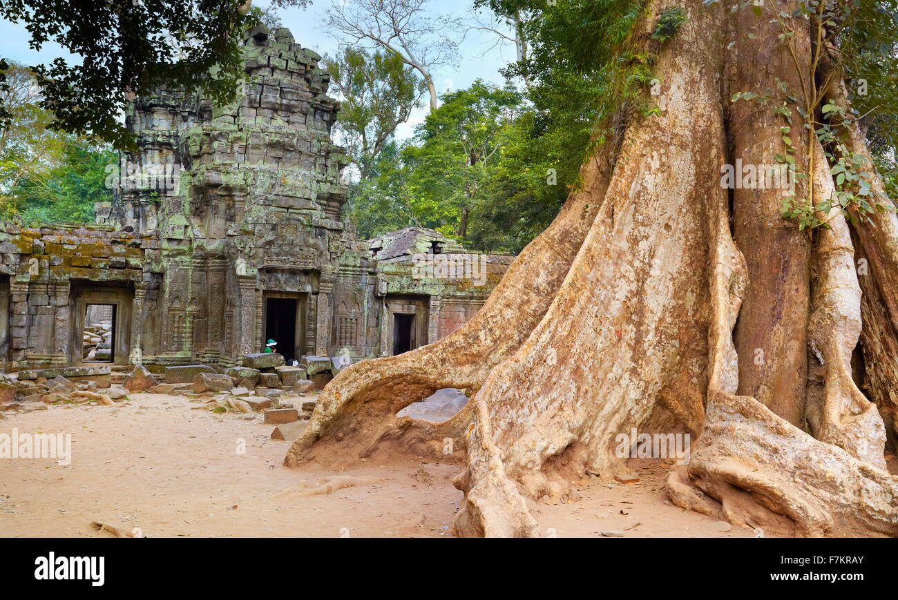 Ta Prohm Temple, Angkor, Cambodge, Asie Banque D'Images