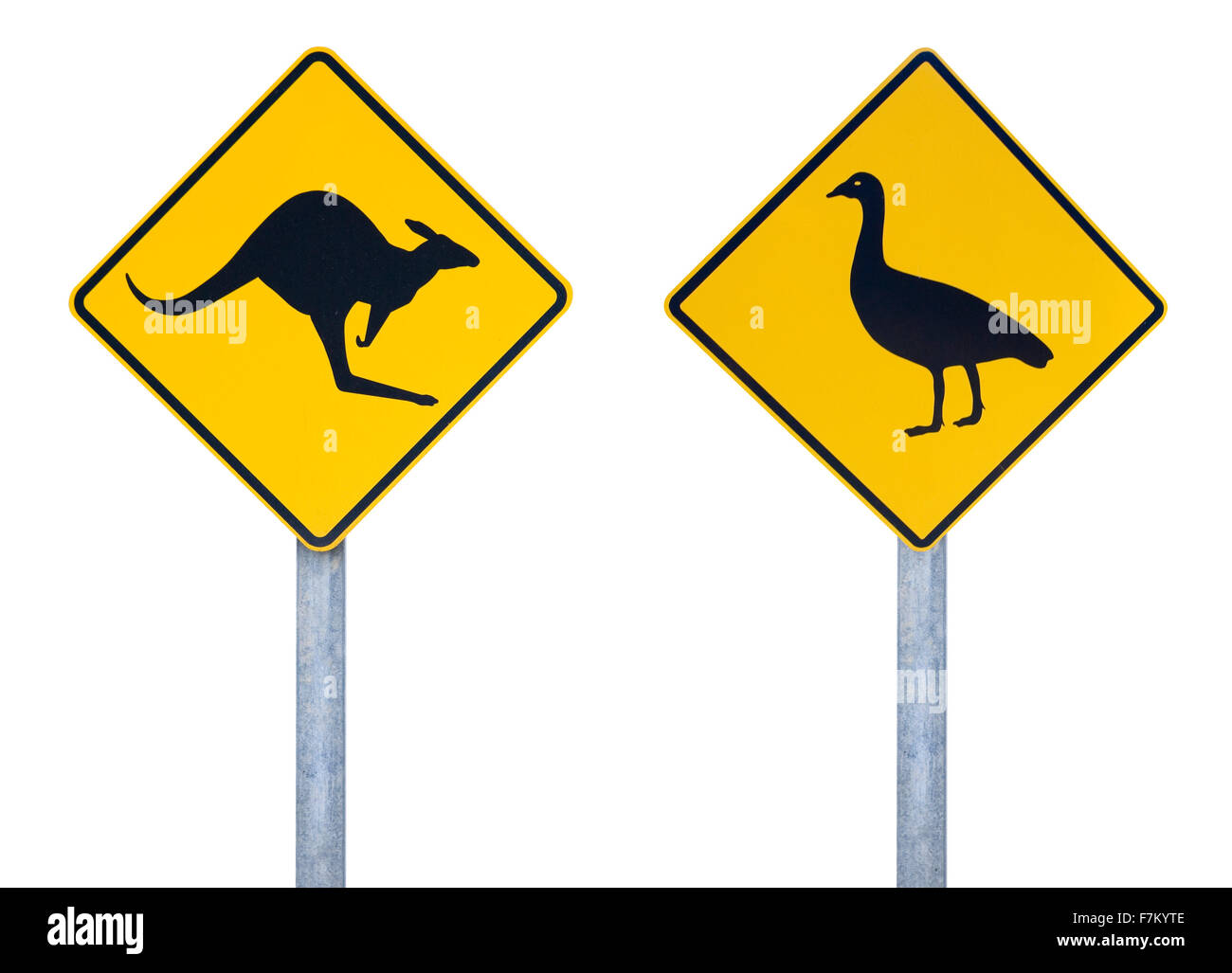 Oies de Cape Barren et kangourou signalisation routière Banque D'Images