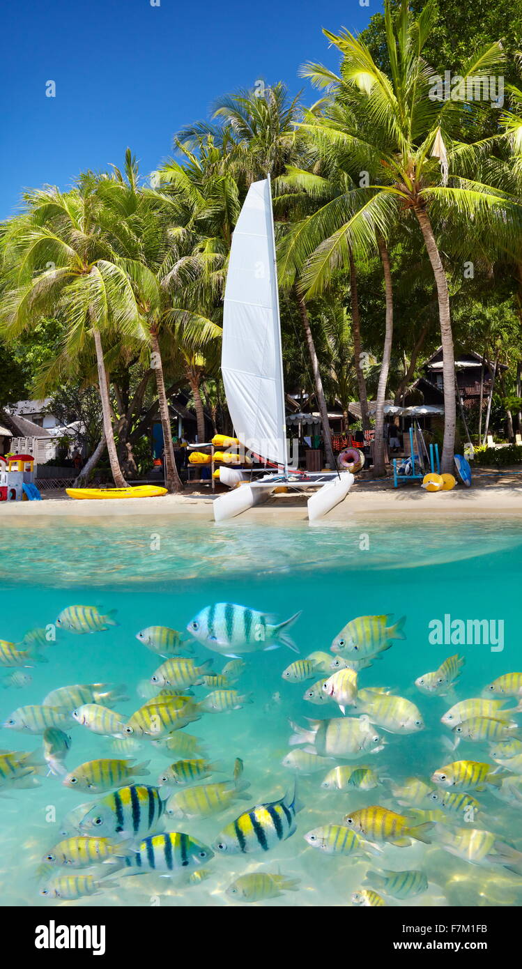 Thaïlande - plage tropicale de l'Île de Ko Samet avec vue sous-marine, la Thaïlande, l'Asie Banque D'Images