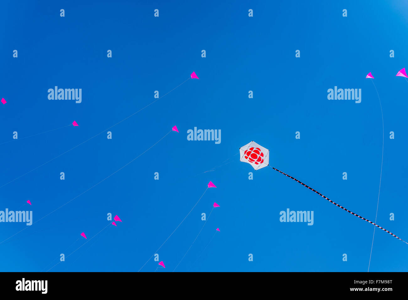 Pétales de cerisier Danse Kite, Vanier Park, Vancouver, British Columbia, Canada Banque D'Images Pétales de cerisier Danse Kite, Vanier Park, Vancouver, British Columbia, Canada Banque D'Images