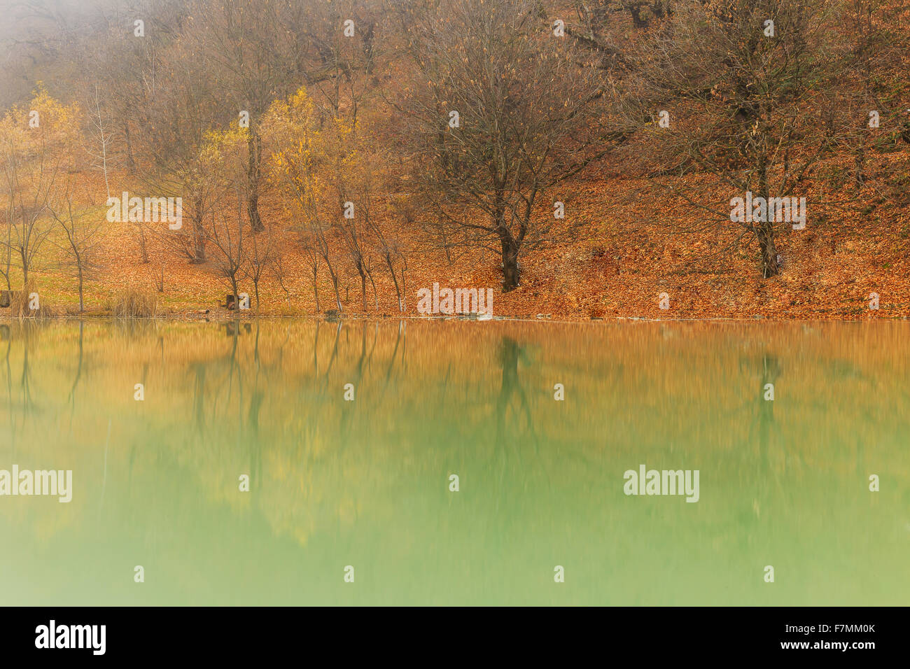 Reflet de bois de l'automne dans le lac.village.Duyma Vandam.Gabala.L'Azerbaïdjan Banque D'Images