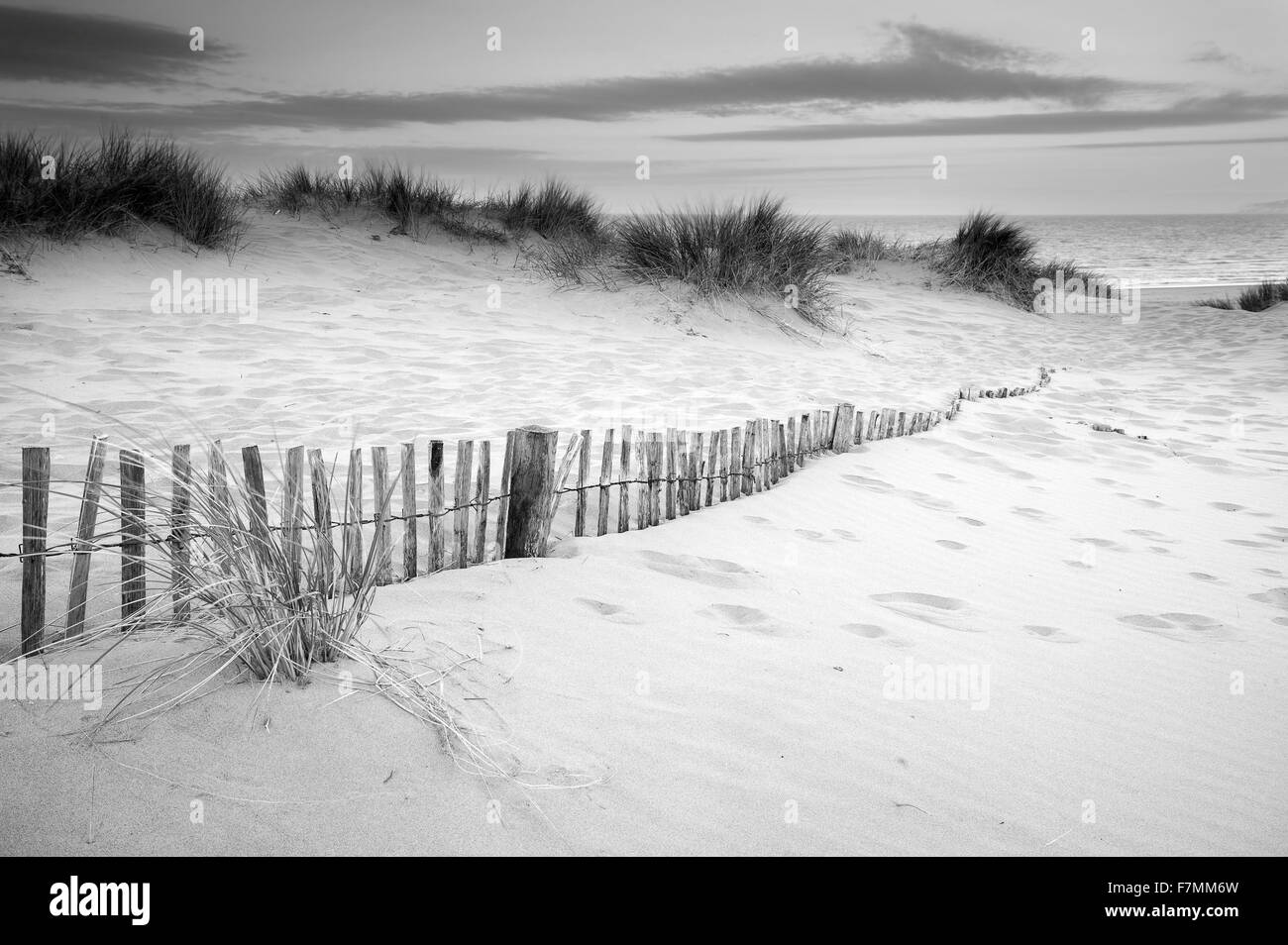 Paysage d'herbe dans les dunes de sable au lever du soleil avec des barrières en bois sous les dunes de sable en noir et blanc Banque D'Images