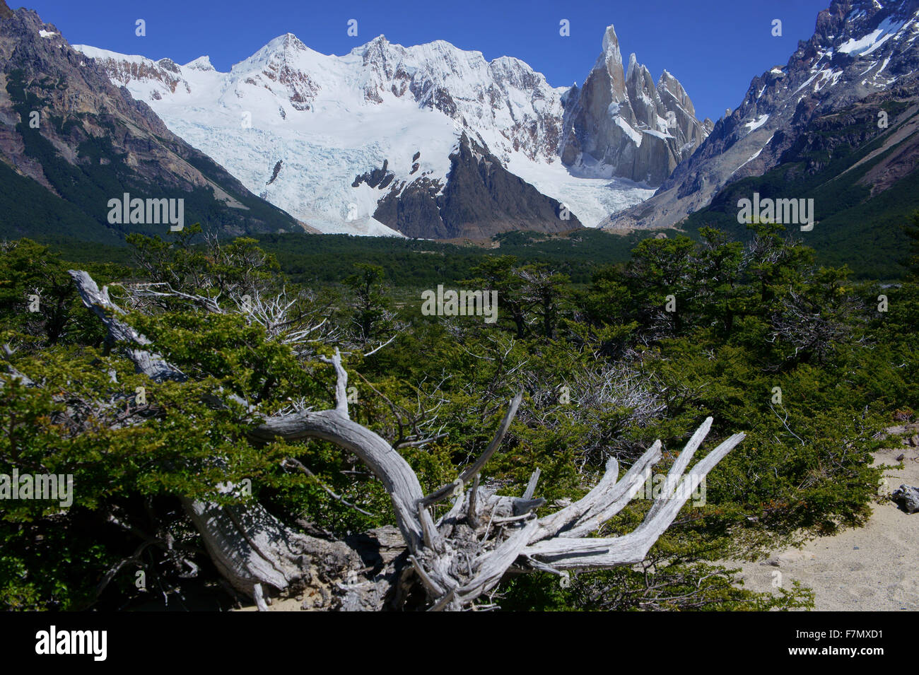 cerro-torre-et-pics-voisin-le-parc-national-los-glaciares-patagonie-argentine-f7mxd1.jpg