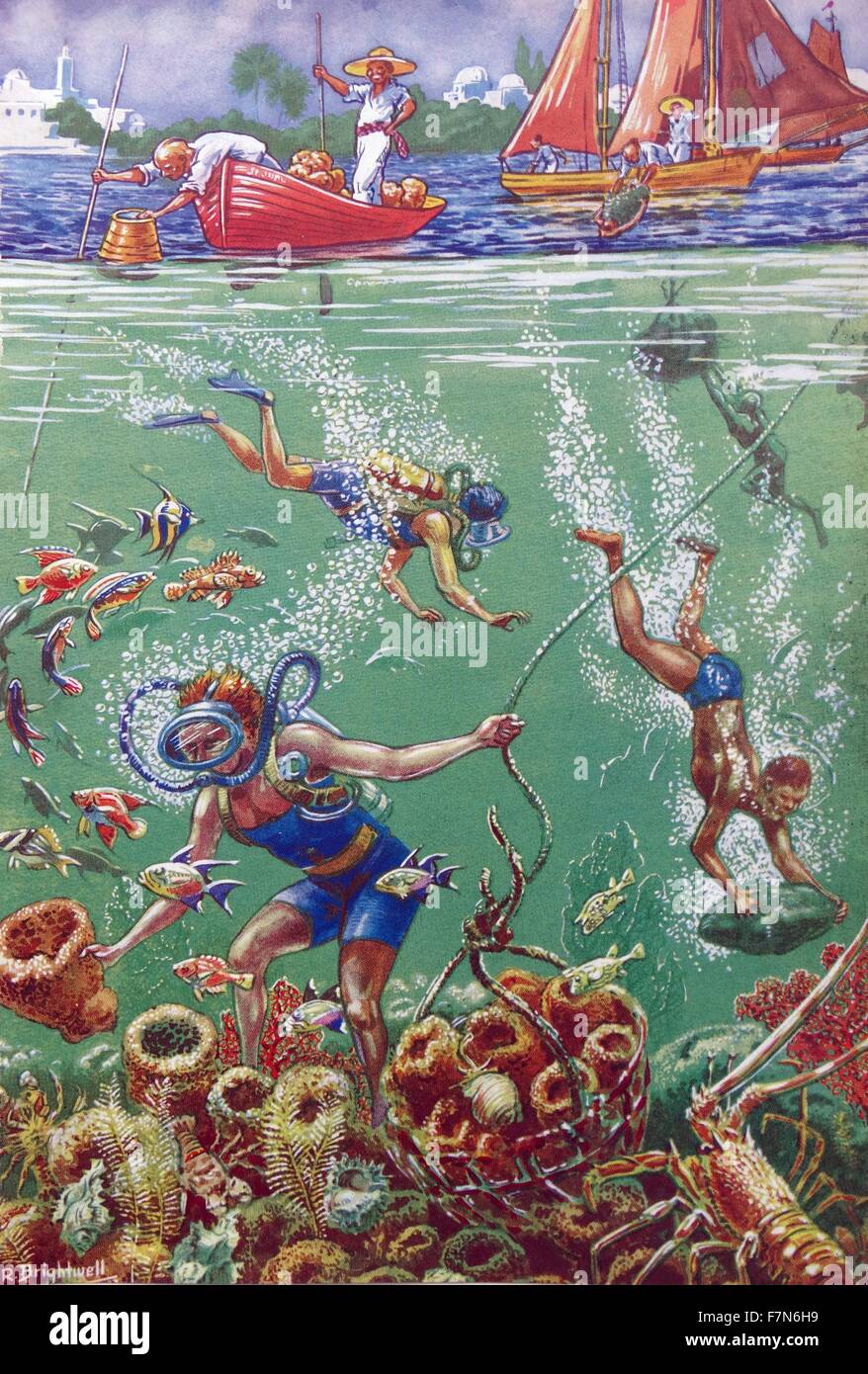 Children's book illustration dépeignant les plongeurs à la recherche de coraux dans la mer dans la caribean 1925 Banque D'Images