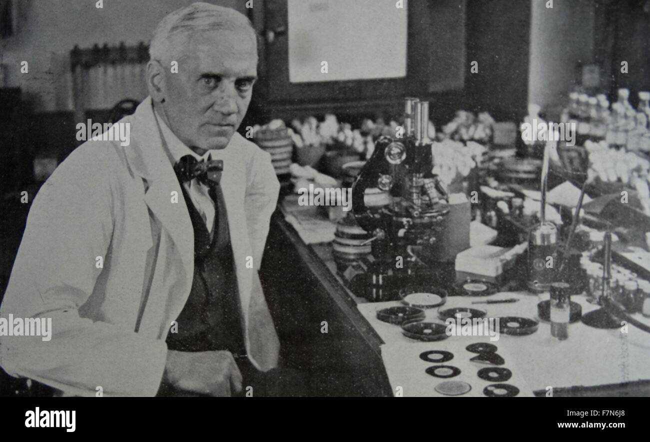 Sir Alexander Fleming (1881-1955) qui a découvert la pénicilline, à l'œuvre dans son laboratoire de l'Hôpital St. Mary, Paddington, Londres. Banque D'Images