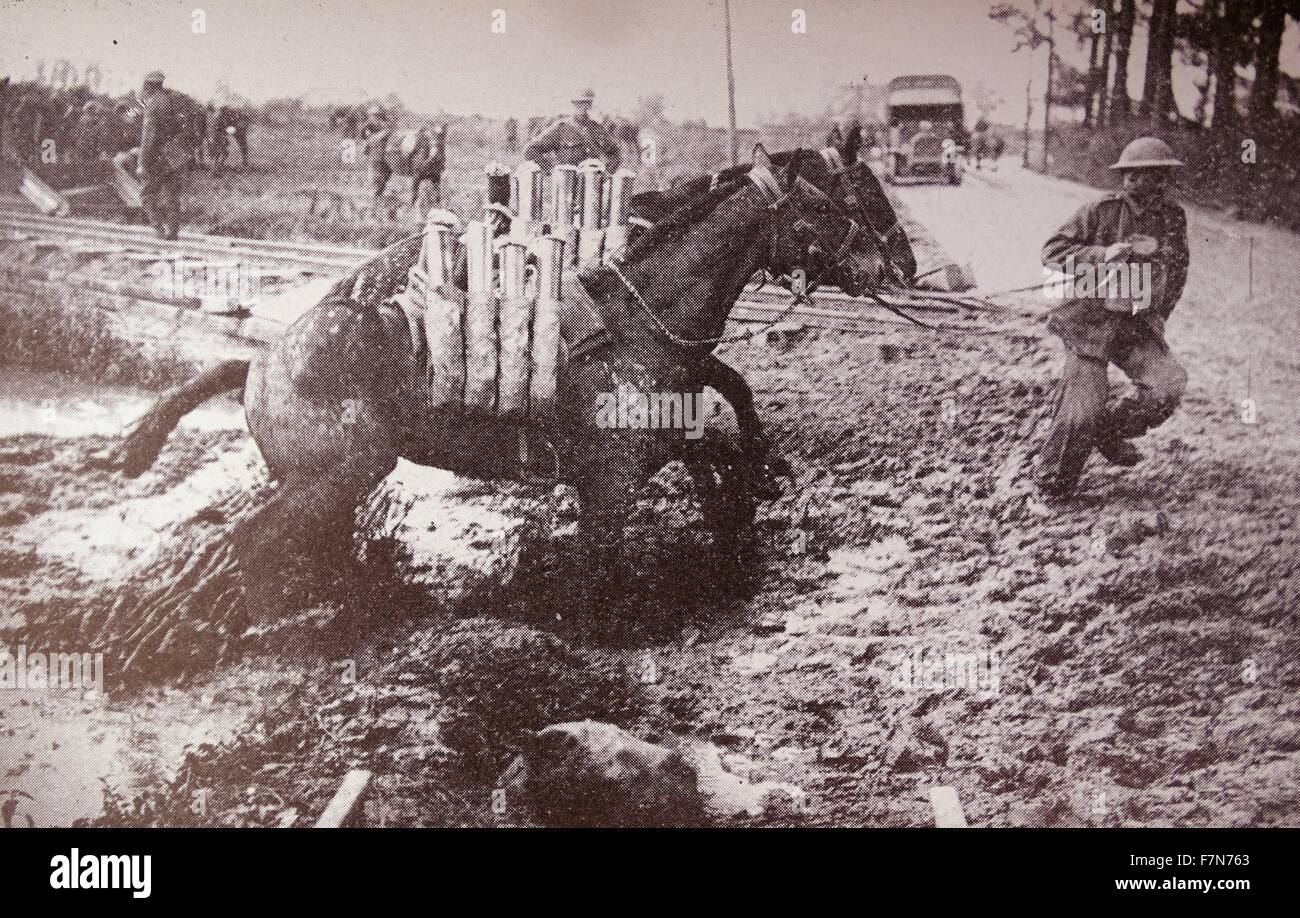 Transport de Shell mules ont à traverser la boue pendant la Première Guerre mondiale Banque D'Images
