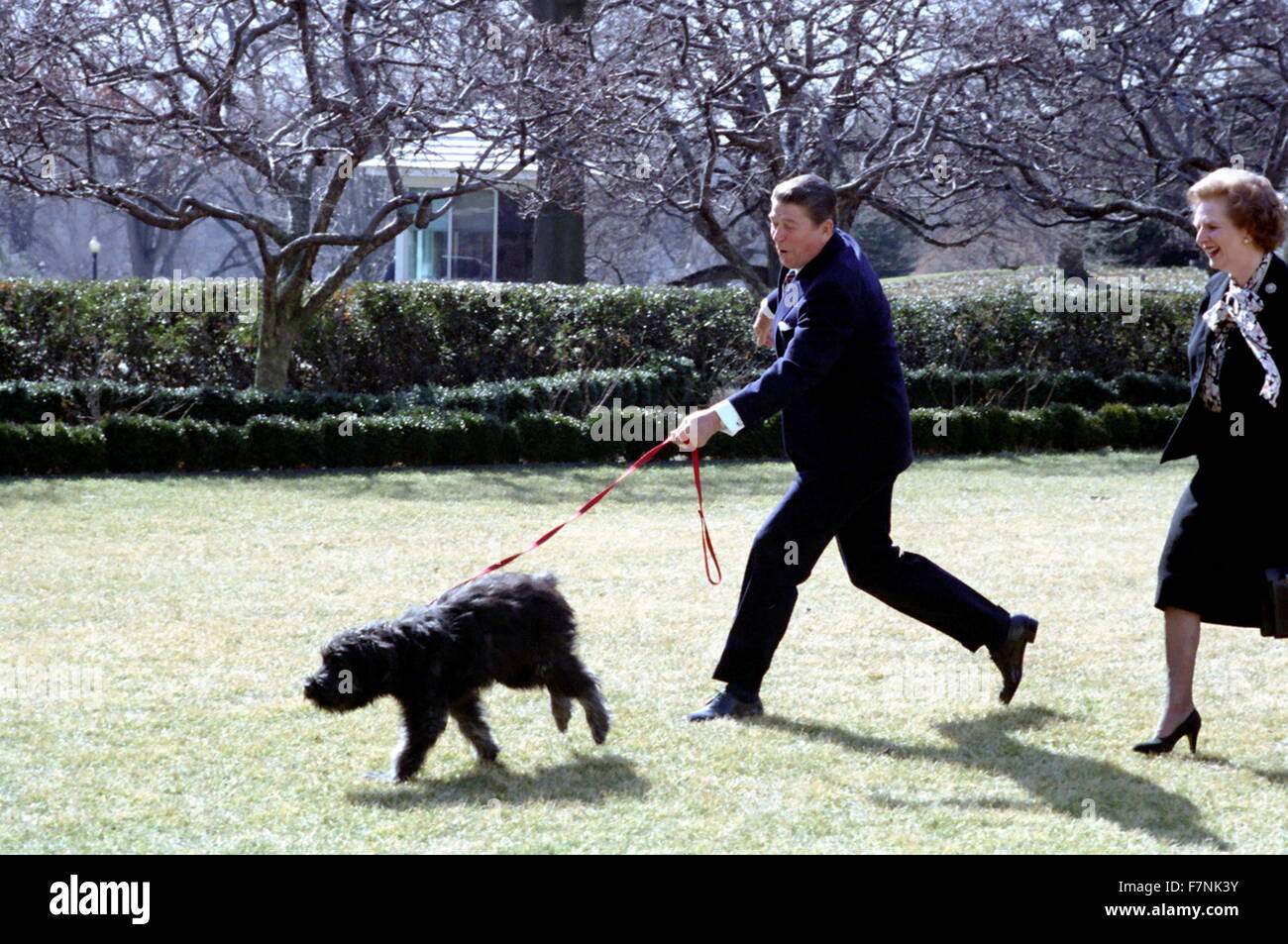 Du président américain Ronald Reagan avec le Premier ministre britannique Margaret Thatcher, dans la roseraie, Maison Blanche, Washington DC 1988 Banque D'Images