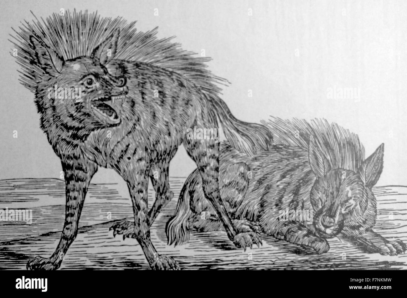 Détail d'une gravure sur bois affiche annonçant un acrobate show à Berne, Suisse. Datée 1840 Banque D'Images