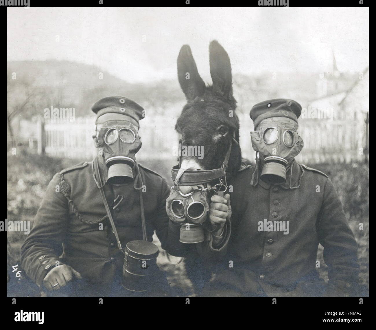 Les soldats allemands et un cheval portant des masques à gaz. La Première Guerre mondiale 1915 Banque D'Images