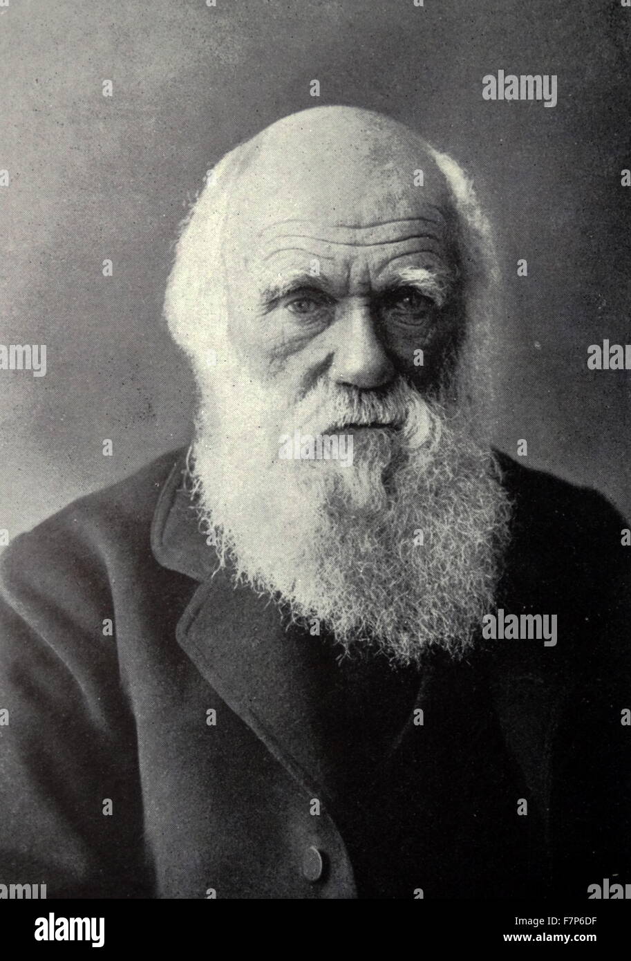 Charles Darwin 1809 - 1882 Banque D'Images