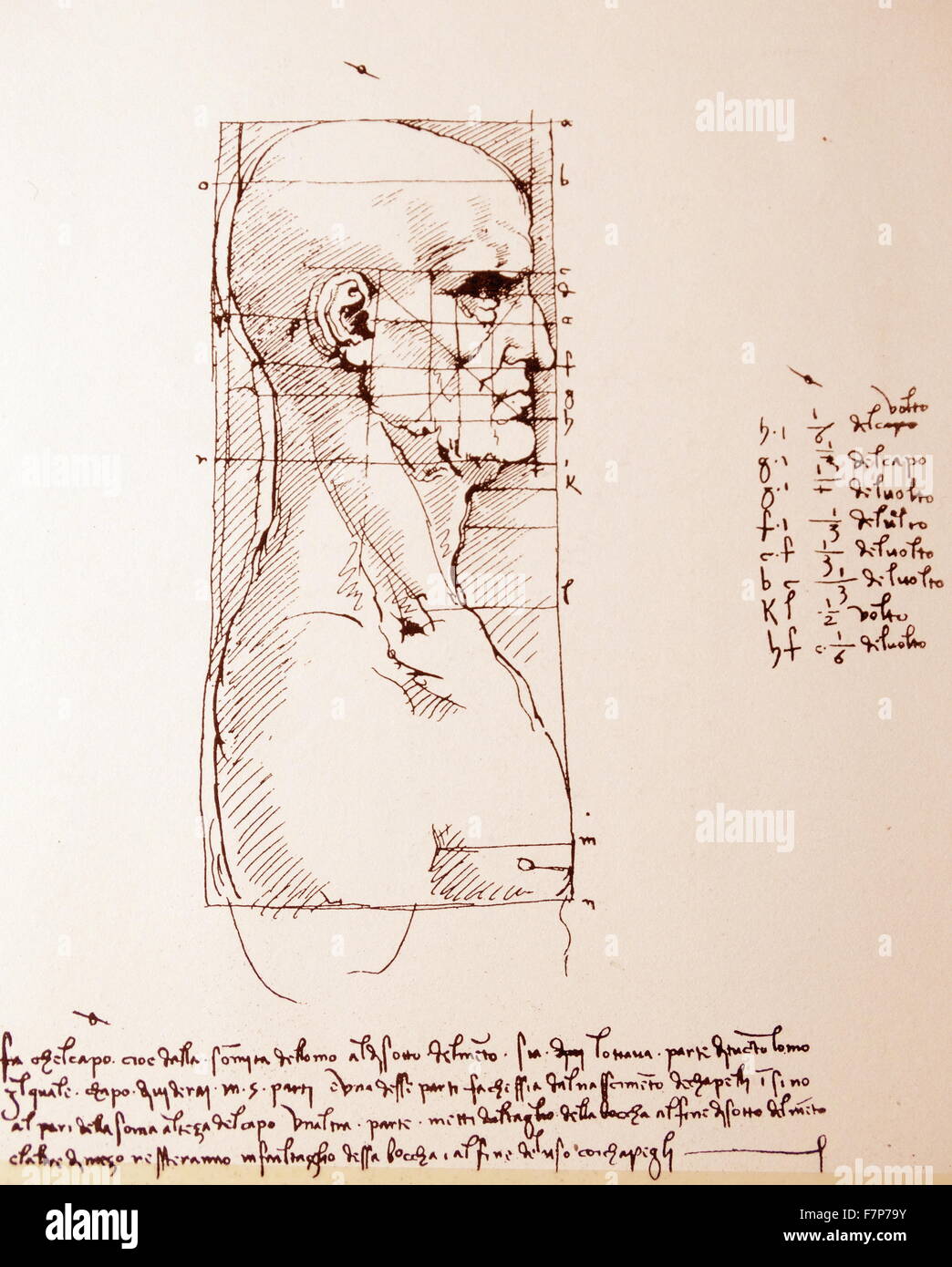 Le canon de LÉONARD DE VINCI POUR LES PROPORTIONS DE LA ...