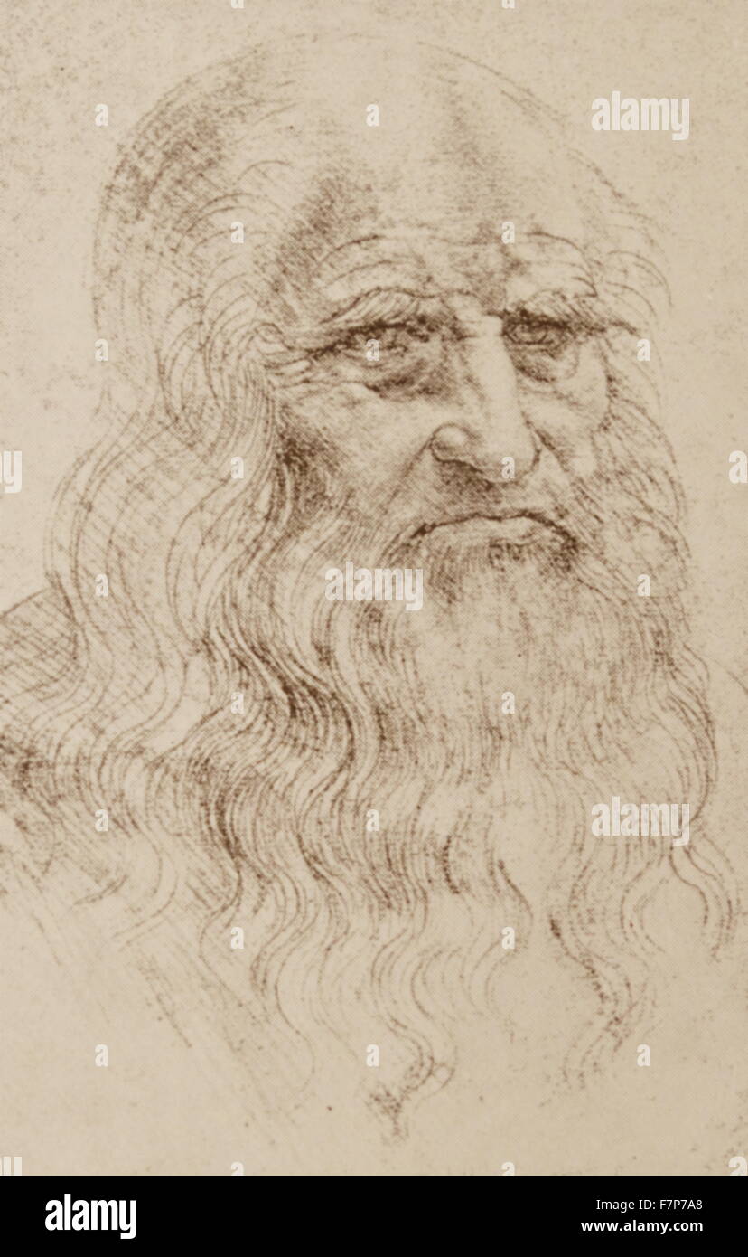 Portrait de Leonardo da Vinci (1452 - 1519) Banque D'Images