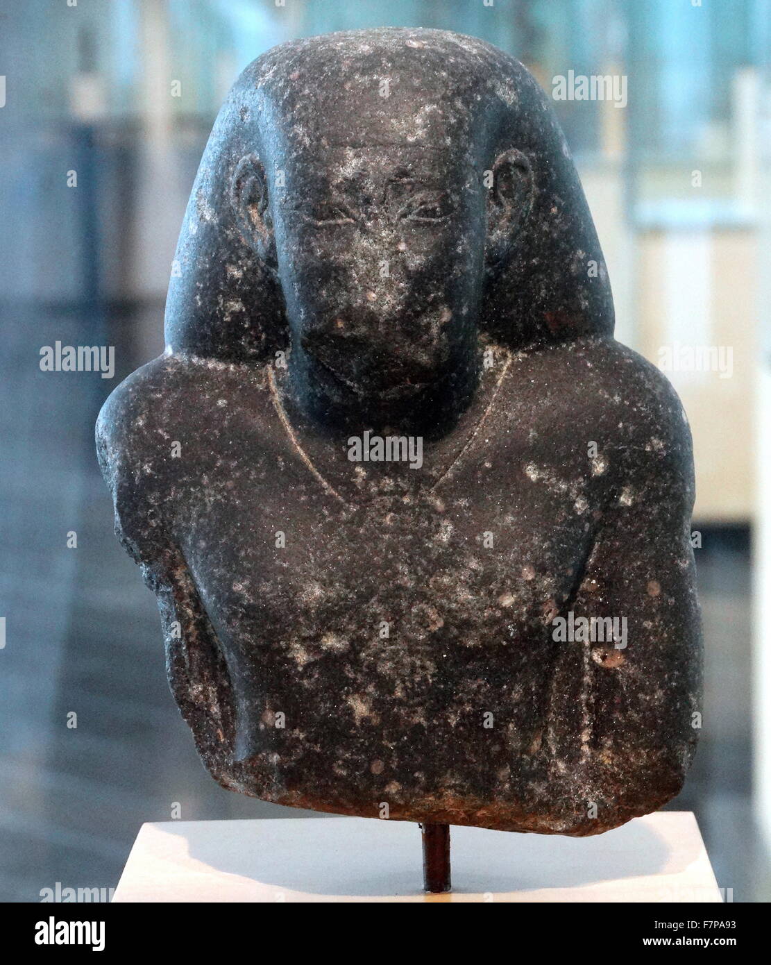 Buste d'homme. Diorite. La fin de période (715-332 avant J.-C.). Banque D'Images