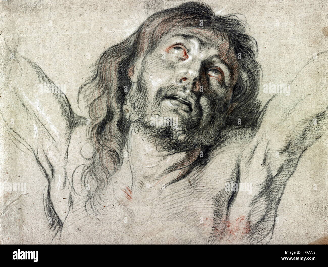 Chef de Christ sur la croix de Peter Paul Rubens (1577-1640). Dessin : craie noire avec rouge et blanc sur papier que tan était probablement une fois que le bleu. Banque D'Images