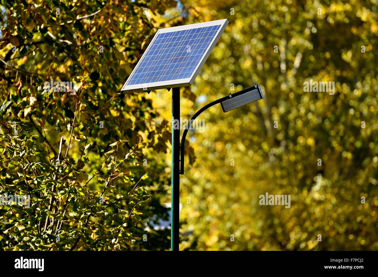Détail d'un lampadaire solaire dans un parc en automne Banque D'Images