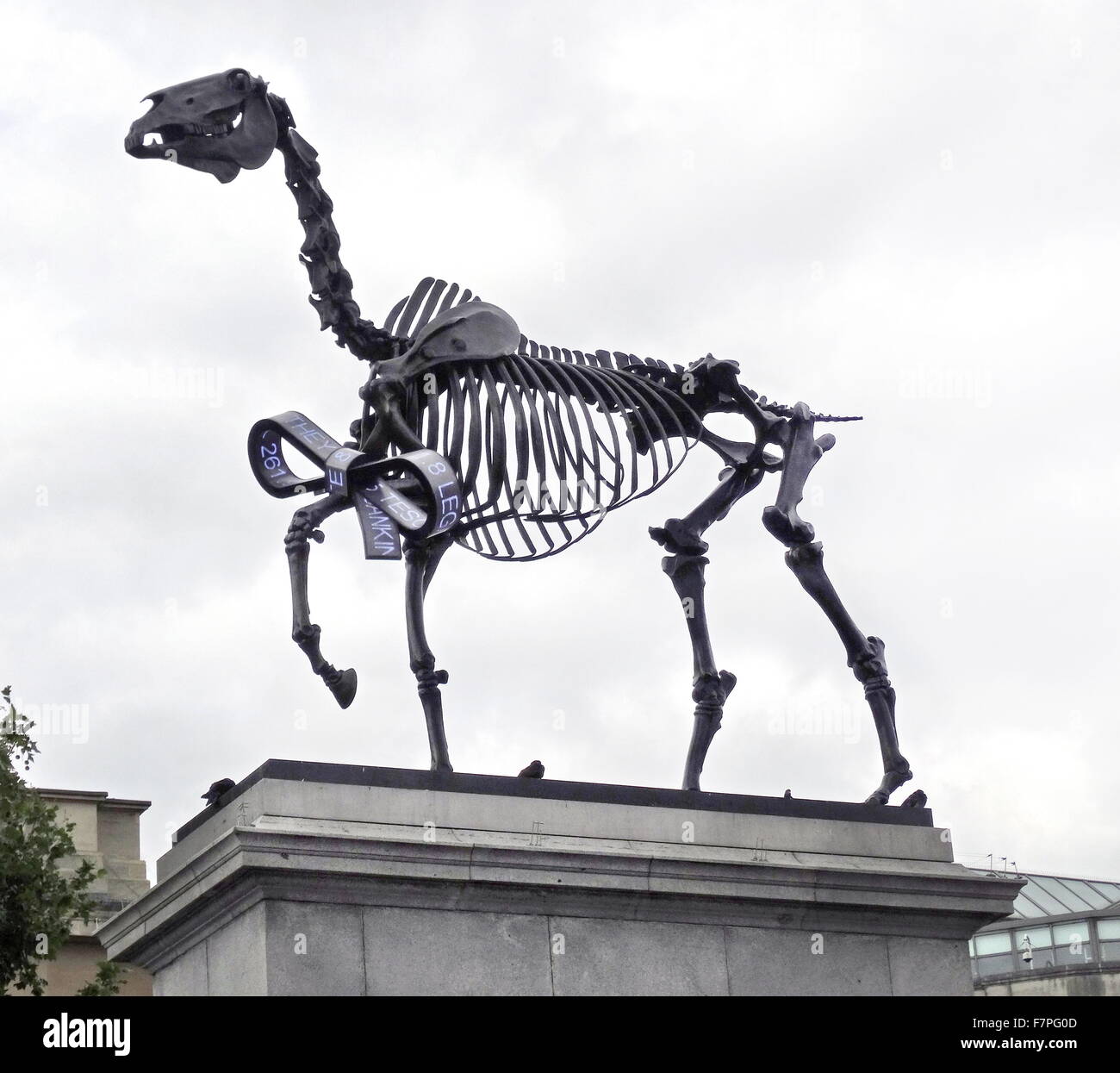 Cheval cadeaux 2015 par Hans Haacke b. 1936 à Cologne, Allemagne. squelette d'un cheval de bronze en fonction de la gravure de George Stubbs. situé sur le socle 'Quatrième' à Trafalgar Square, à Londres Banque D'Images