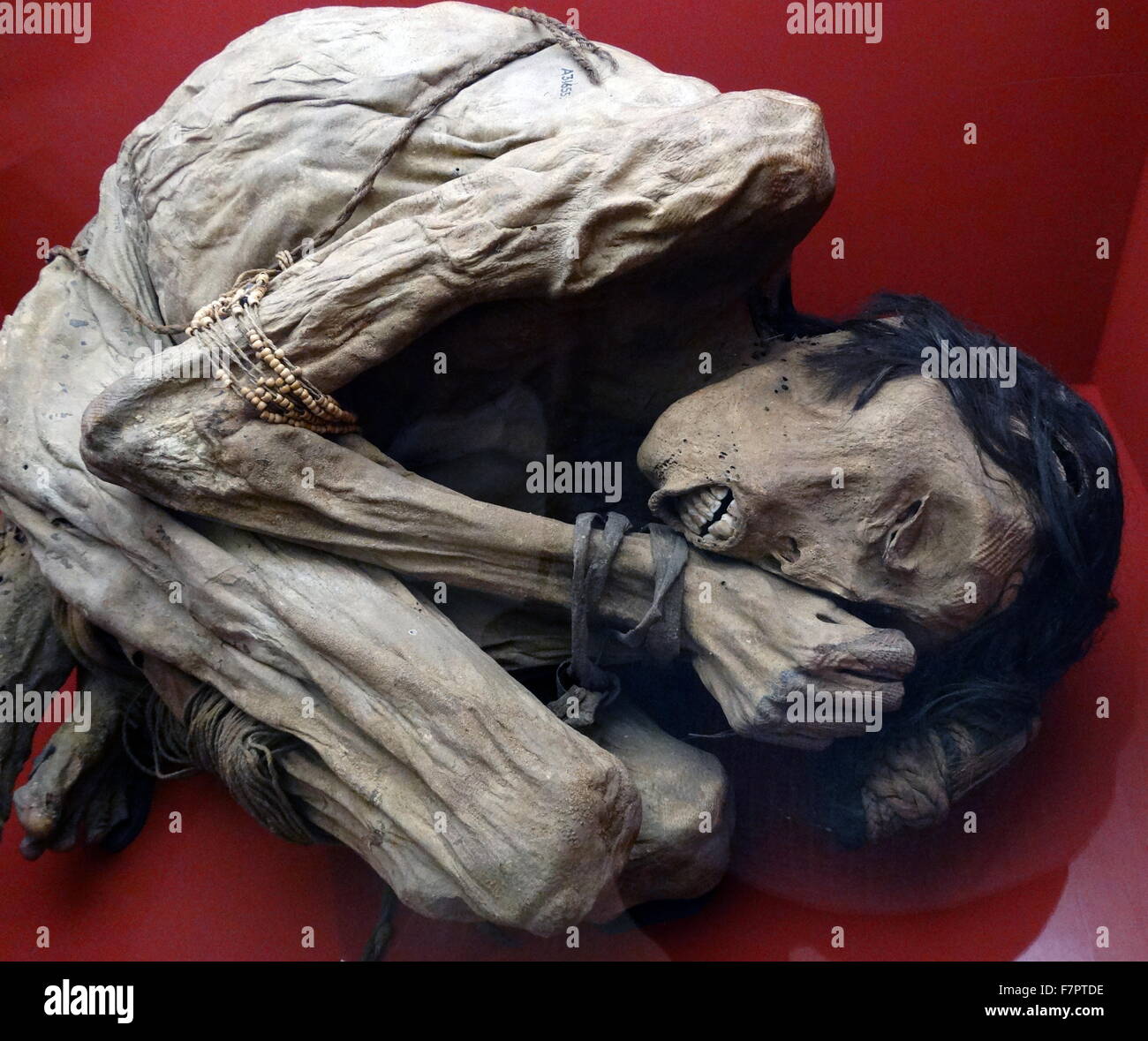 Le corps momifié d'un homme. Du peuple Chimu, Pérou, 1200-1400. Banque D'Images