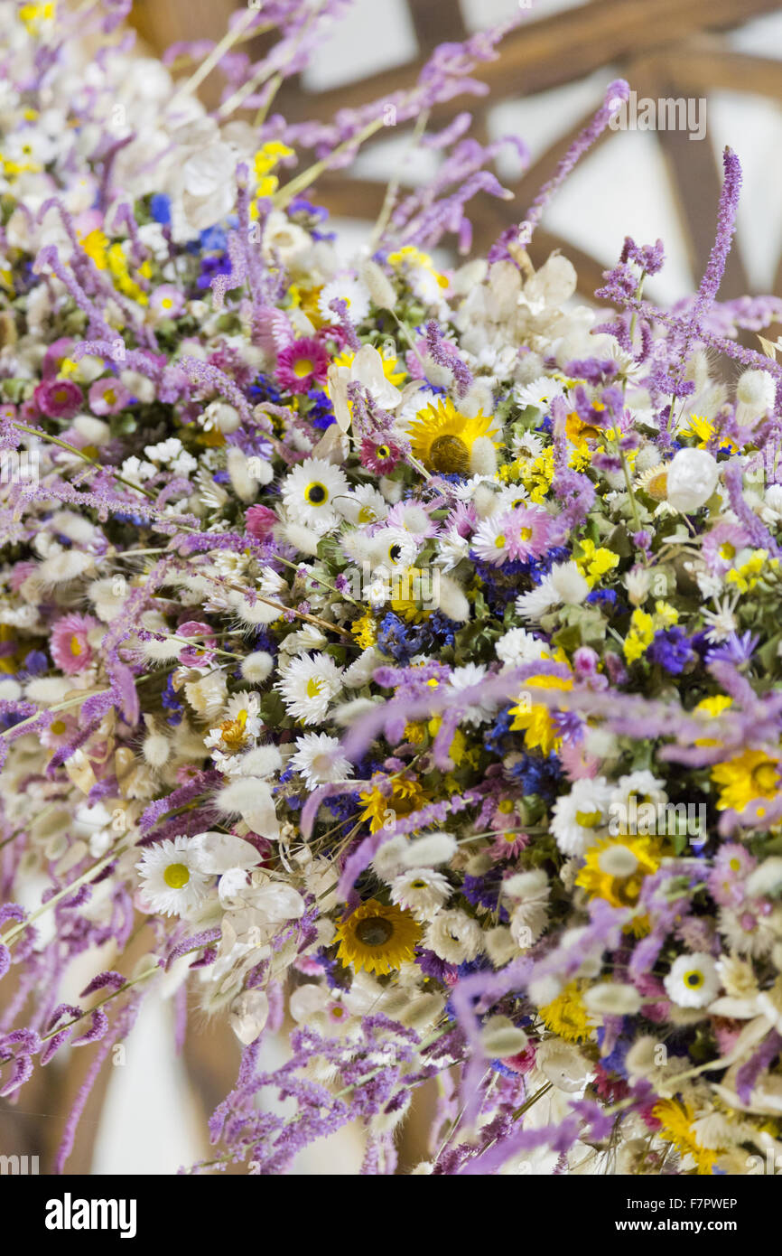 Détail de la guirlande de Noël dans le hall de l'Hôtel Laminak Tudor, Cornwall. Le garland est construit chaque année de fleurs cultivées et séchées à Cotehele - une tradition qui a débuté dans les années 1950. 2013 a été une année record, avec environ 40 000 décisions fleurs Banque D'Images