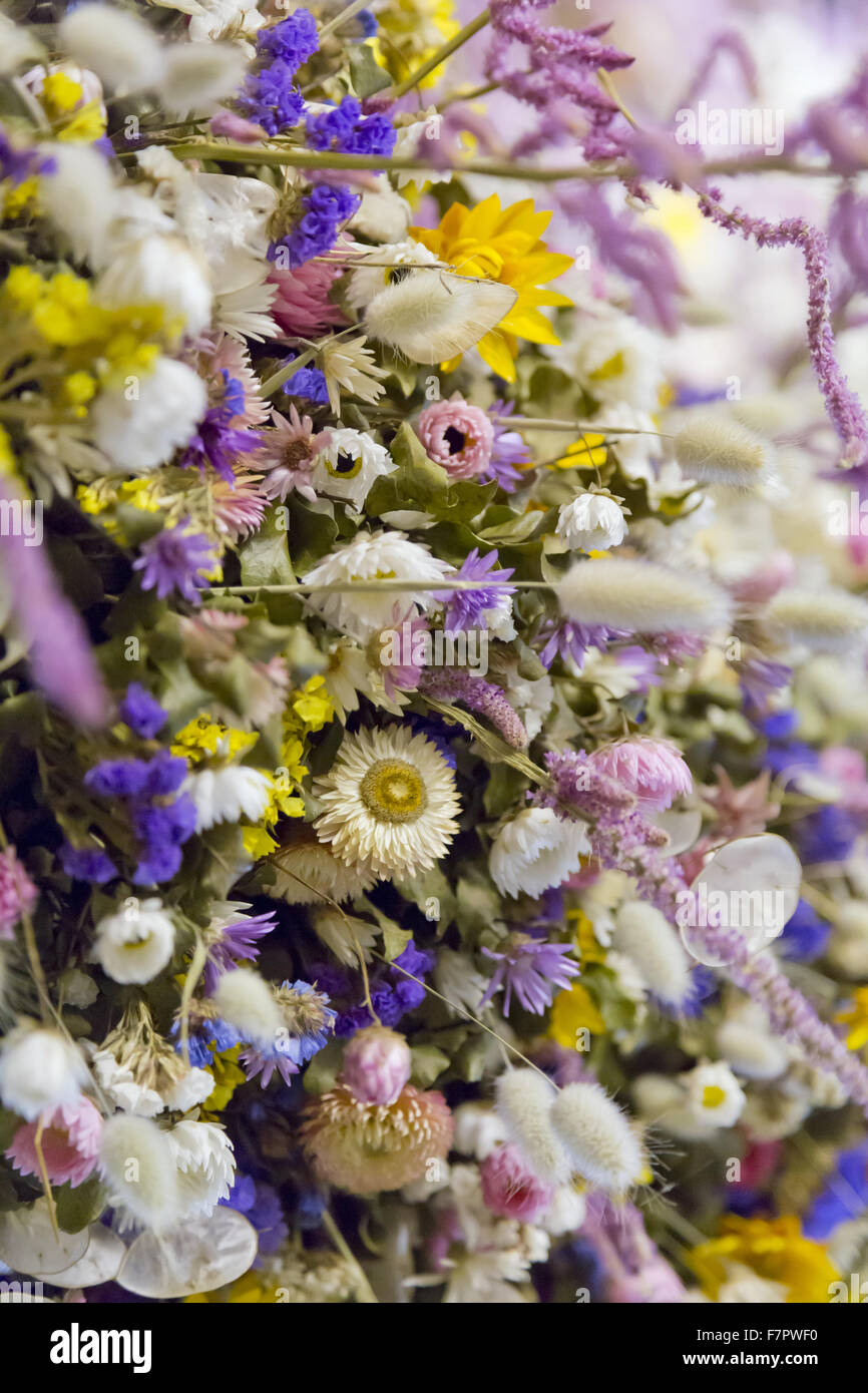Détail de la guirlande de Noël dans le hall de l'Hôtel Laminak Tudor, Cornwall. Le garland est construit chaque année de fleurs cultivées et séchées à Cotehele - une tradition qui a débuté dans les années 1950. 2013 a été une année record, avec environ 40 000 décisions fleurs Banque D'Images