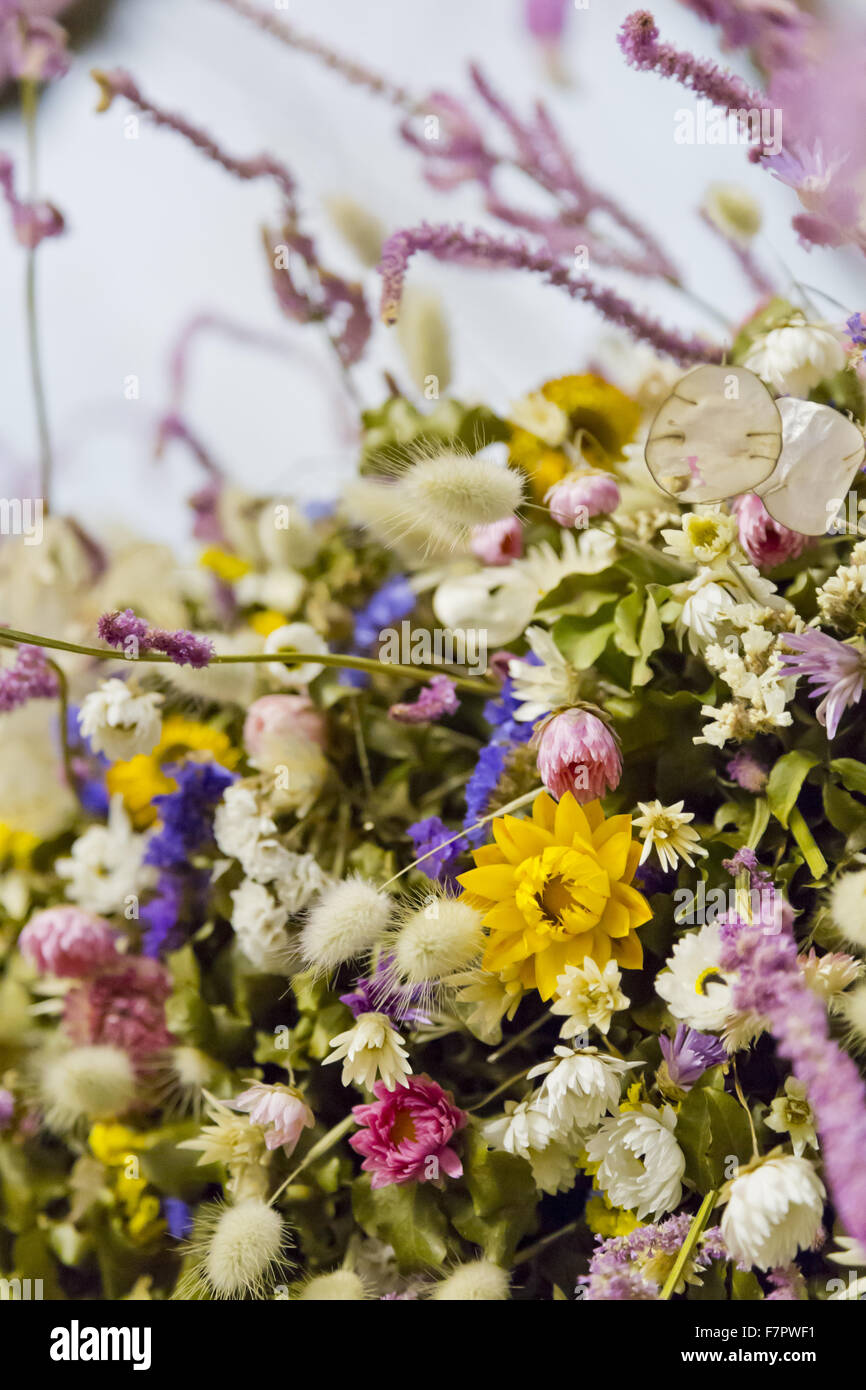 Détail de la guirlande de Noël dans le hall de l'Hôtel Laminak Tudor, Cornwall. Le garland est construit chaque année de fleurs cultivées et séchées à Cotehele - une tradition qui a débuté dans les années 1950. 2013 a été une année record, avec environ 40 000 décisions fleurs Banque D'Images