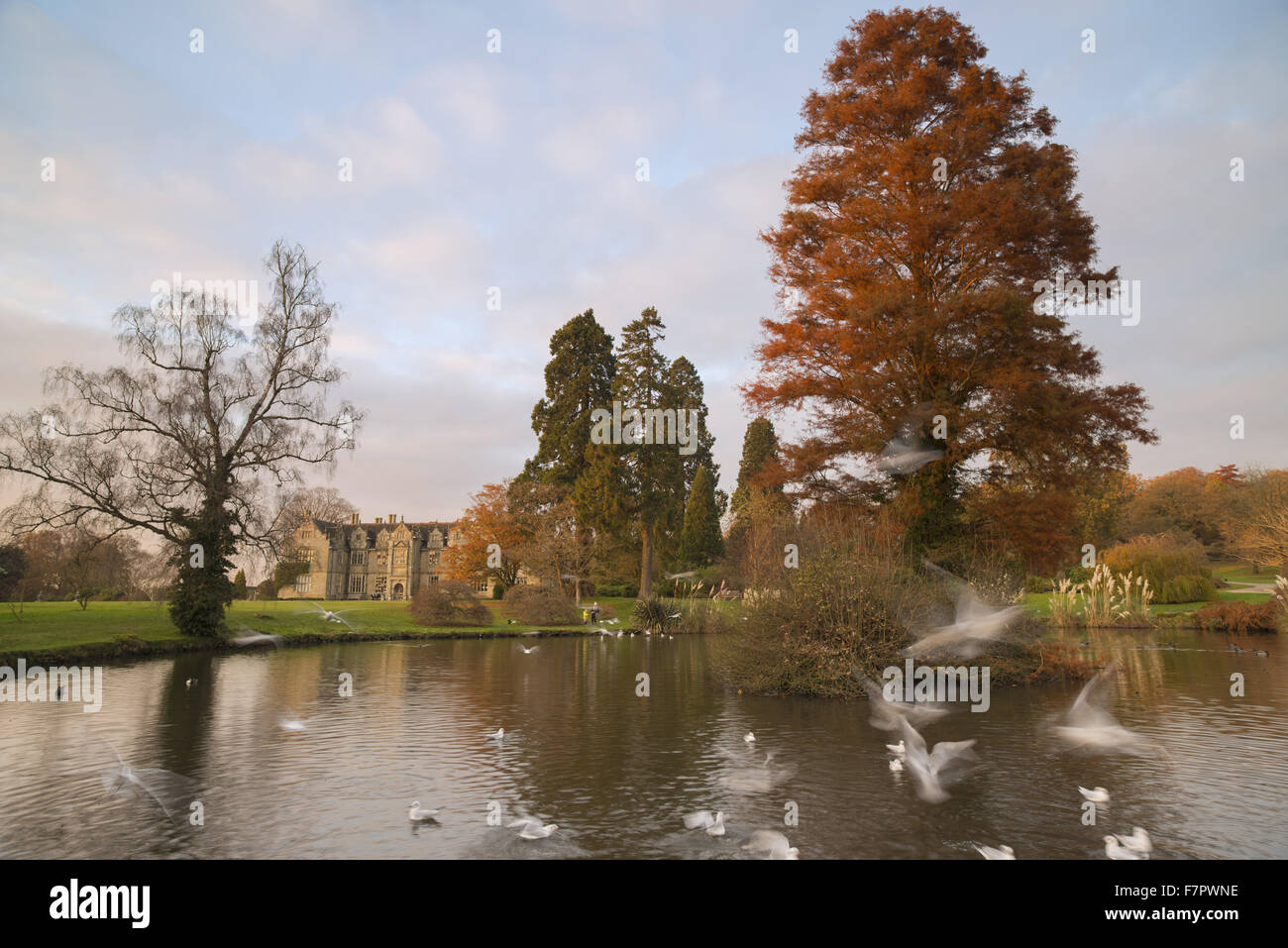 La couleur en automne à Wakehurst Place, avec le lac au premier plan. Banque D'Images
