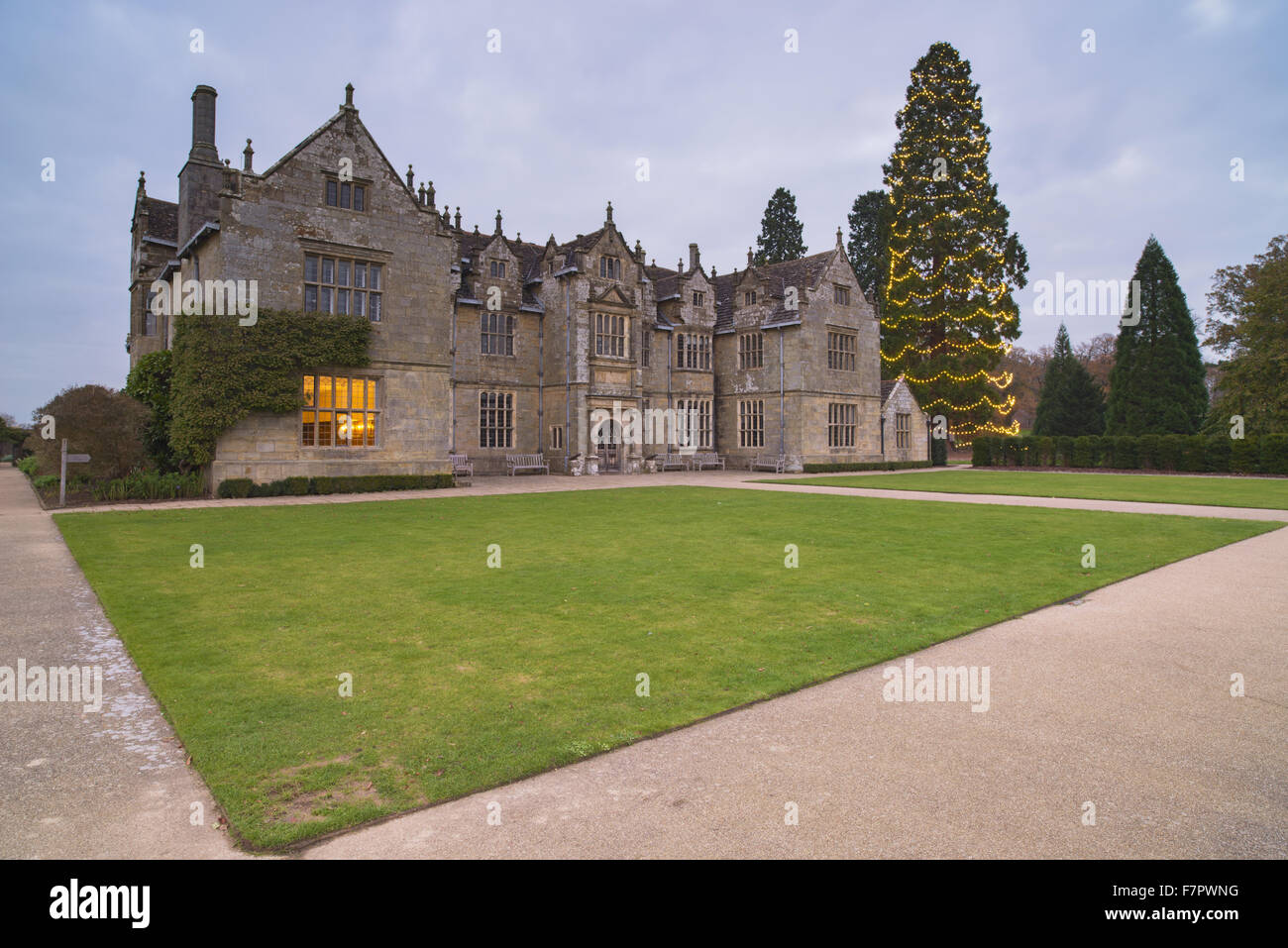 La chambre à Wakehurst Place, West Sussex, au crépuscule, avec un grand sapin couvert de lumières de Noël. Banque D'Images