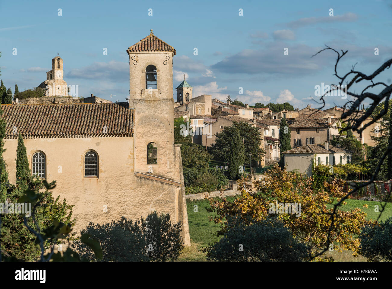 Église médiévale dans une oliveraie, Lourmarin, Provence Banque D'Images