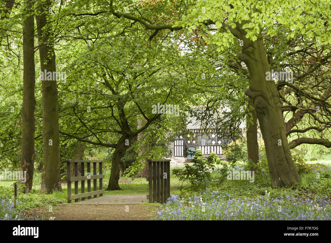Les jardins au printemps à Rufford Old Hall, Lancashire. Rufford Old Hall est de plus de 500 ans, et les jardins sont de style victorien. Banque D'Images