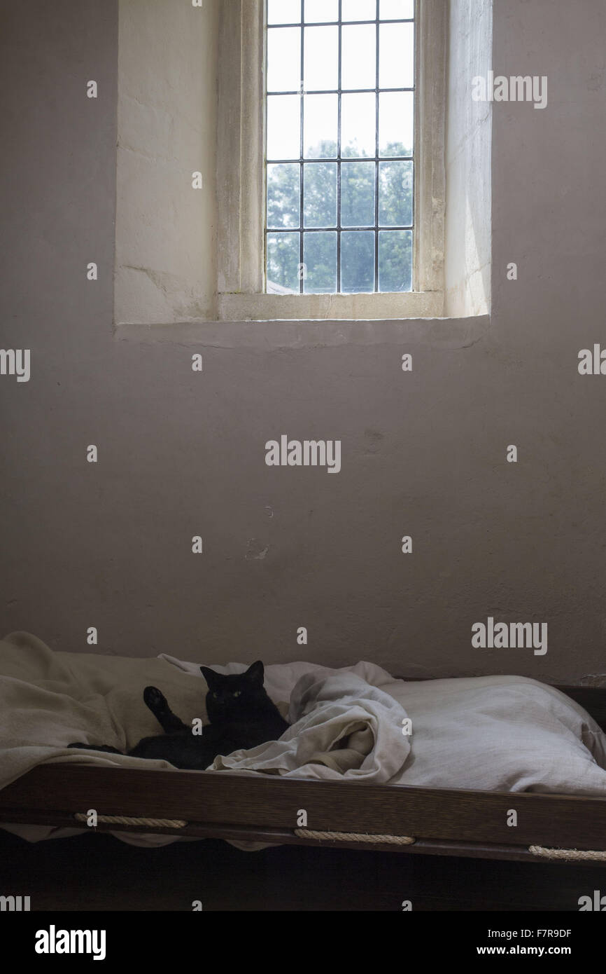 Un chat à Woolsthorpe Manor, Lincolnshire. Woolsthorpe Manor était la maison du scientifique et mathématicien Sir Isaac Newton. Banque D'Images