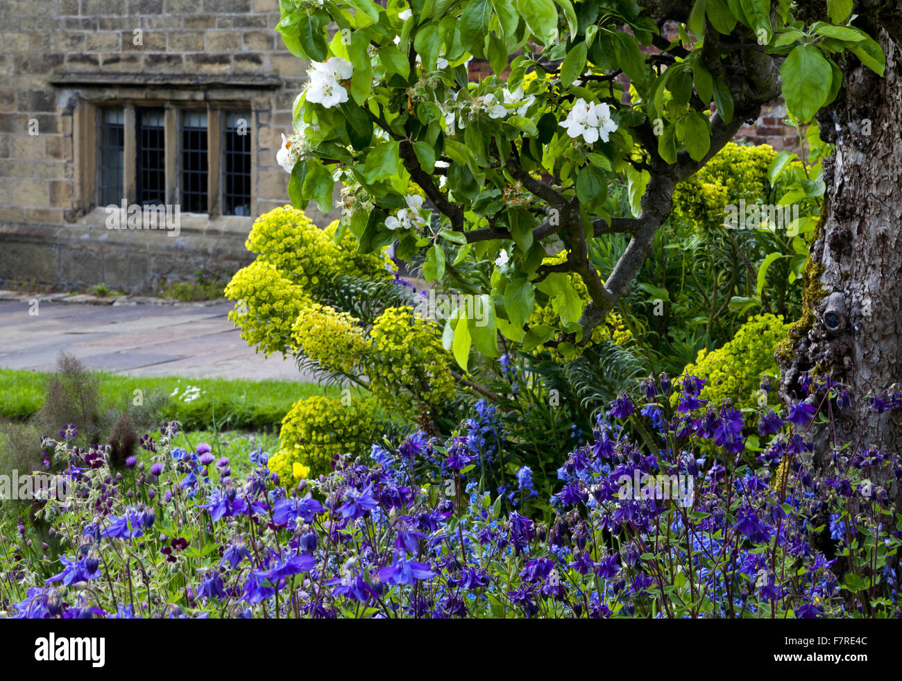Le jardin au printemps à Eyam Hall et centre d'Artisanat, Derbyshire. Eyam Hall est un exemple d'un manoir Jacobin pierre meulière, situé dans un jardin clos. Banque D'Images